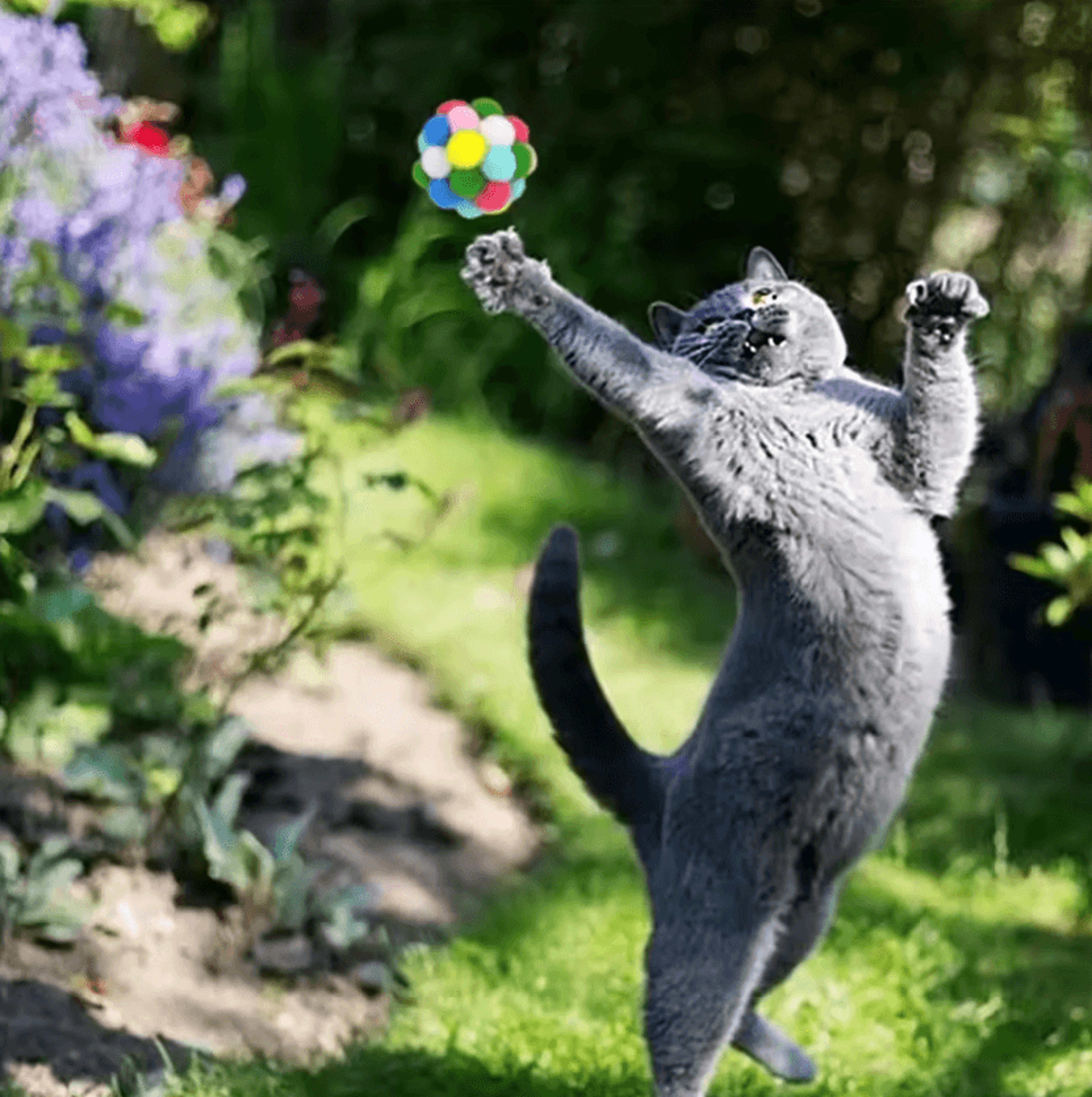 SparklePounce Interactive Pom Pom Cat Toy Balls Set 2