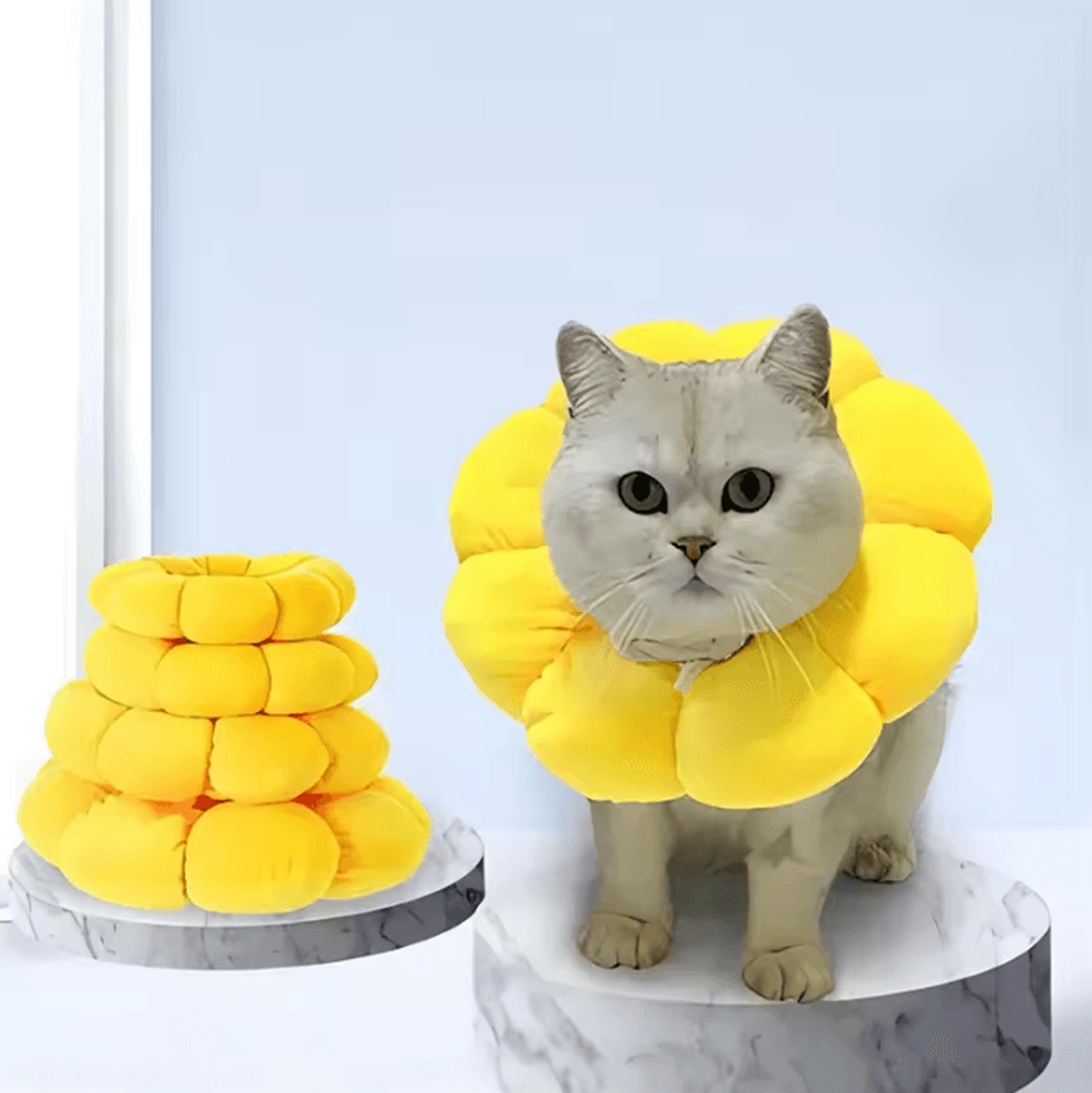 SunBloom Soft Recovery Collar For Cats  Kittens 3