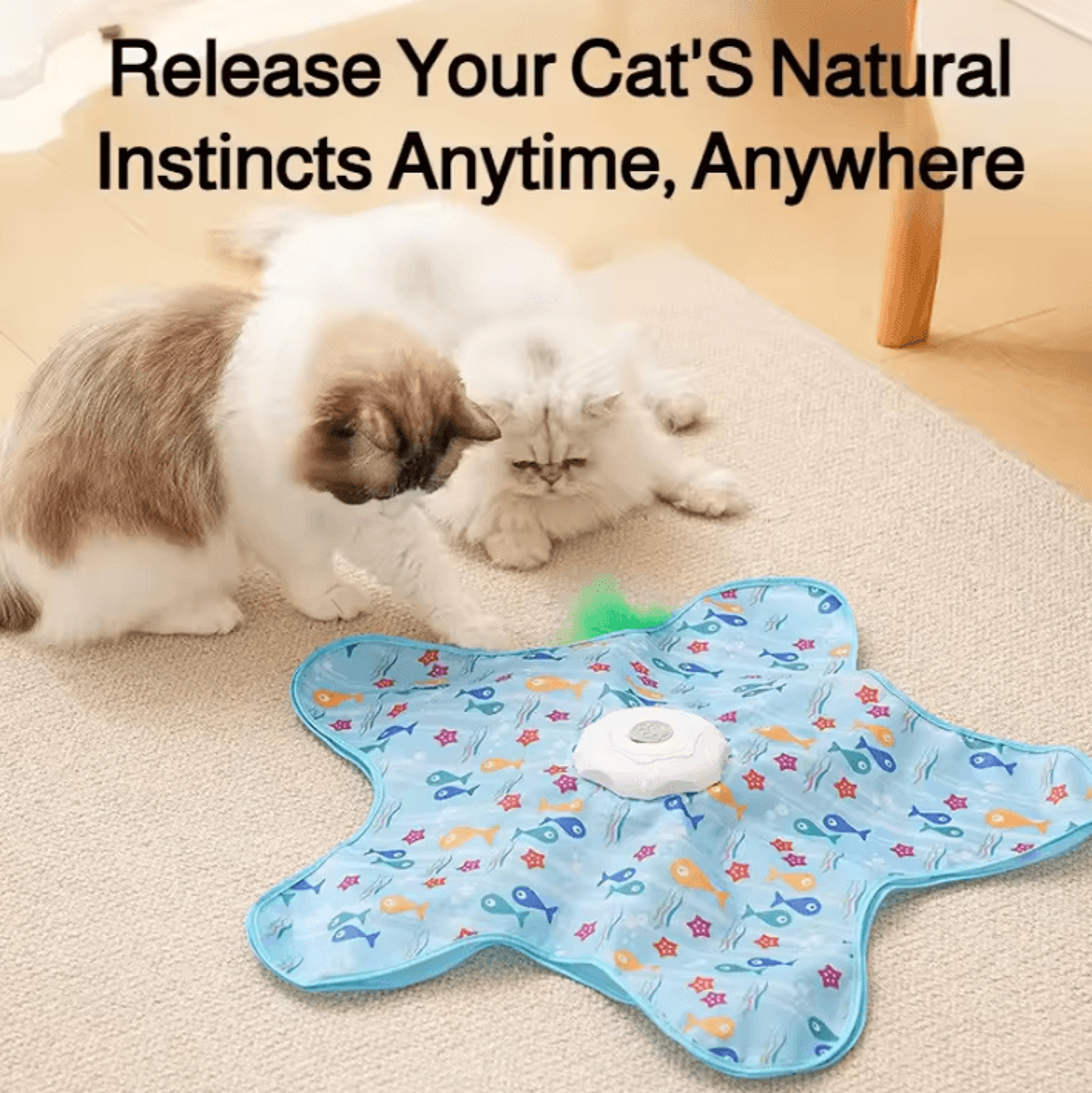 SneakPounce Interactive Hide  Seek Cat Toy 2