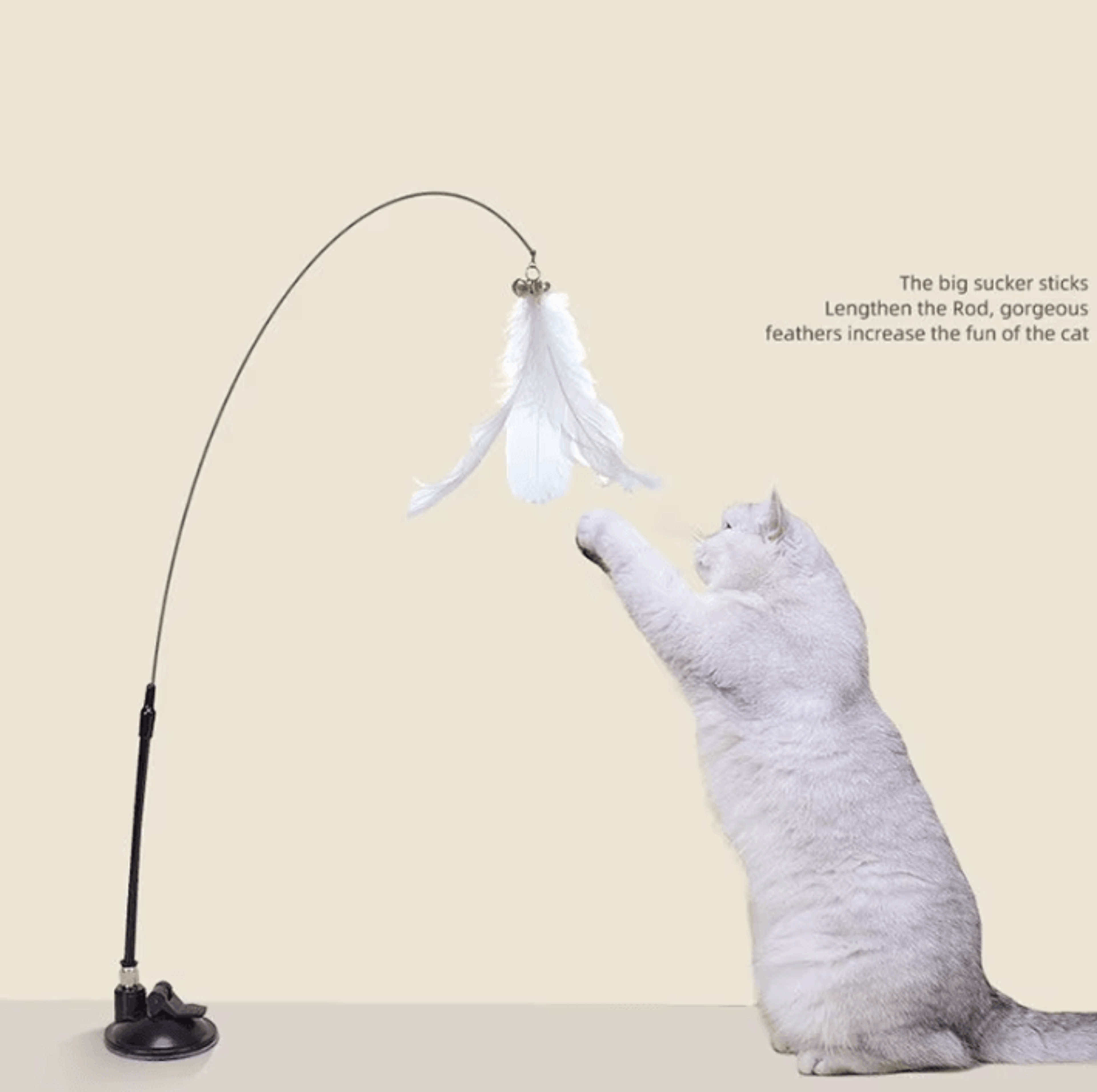 whiskerbounce suction cup feather wand cat toy