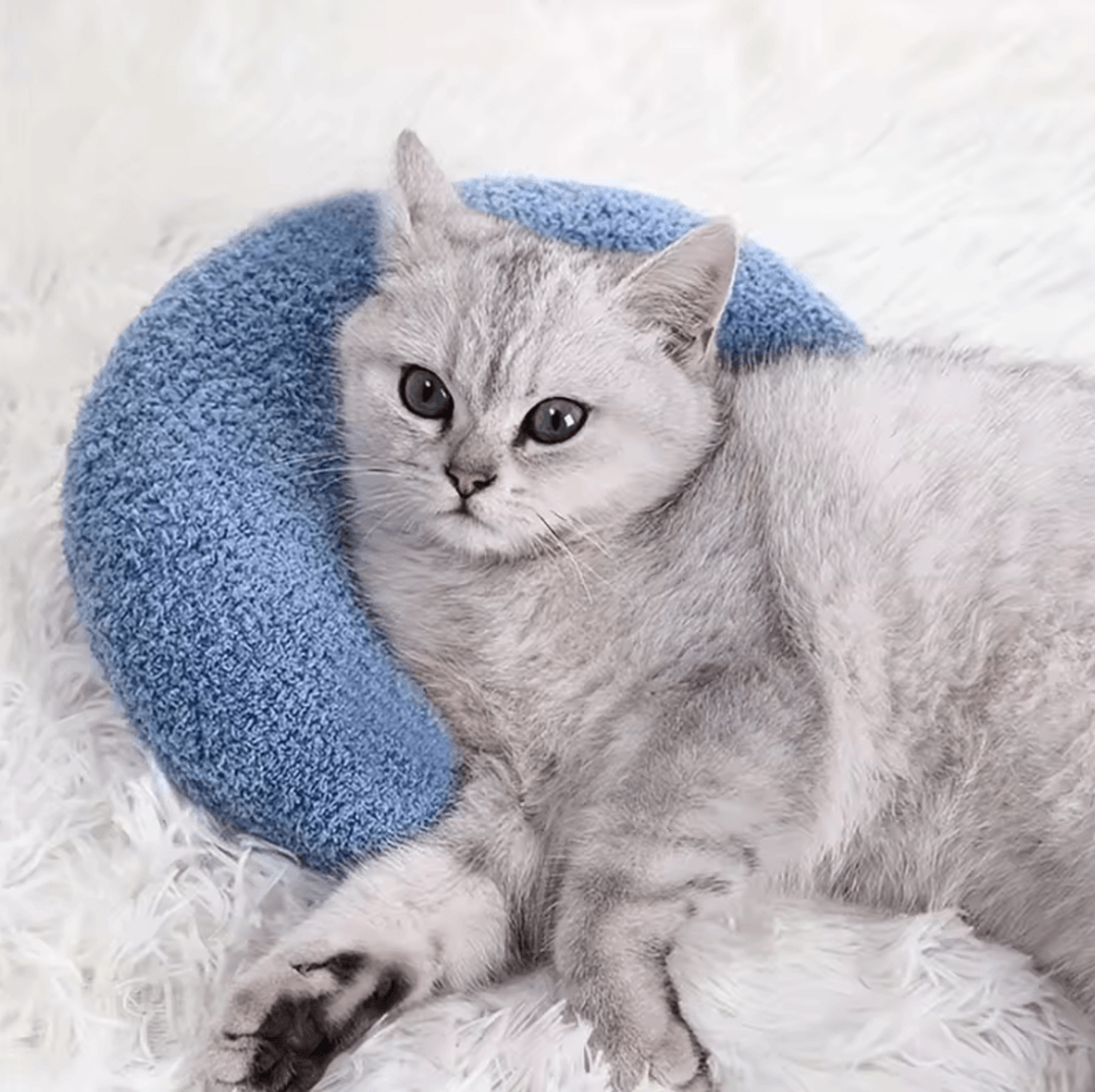 dreamnest u-shaped orthopedic pet pillow for cats & dogs