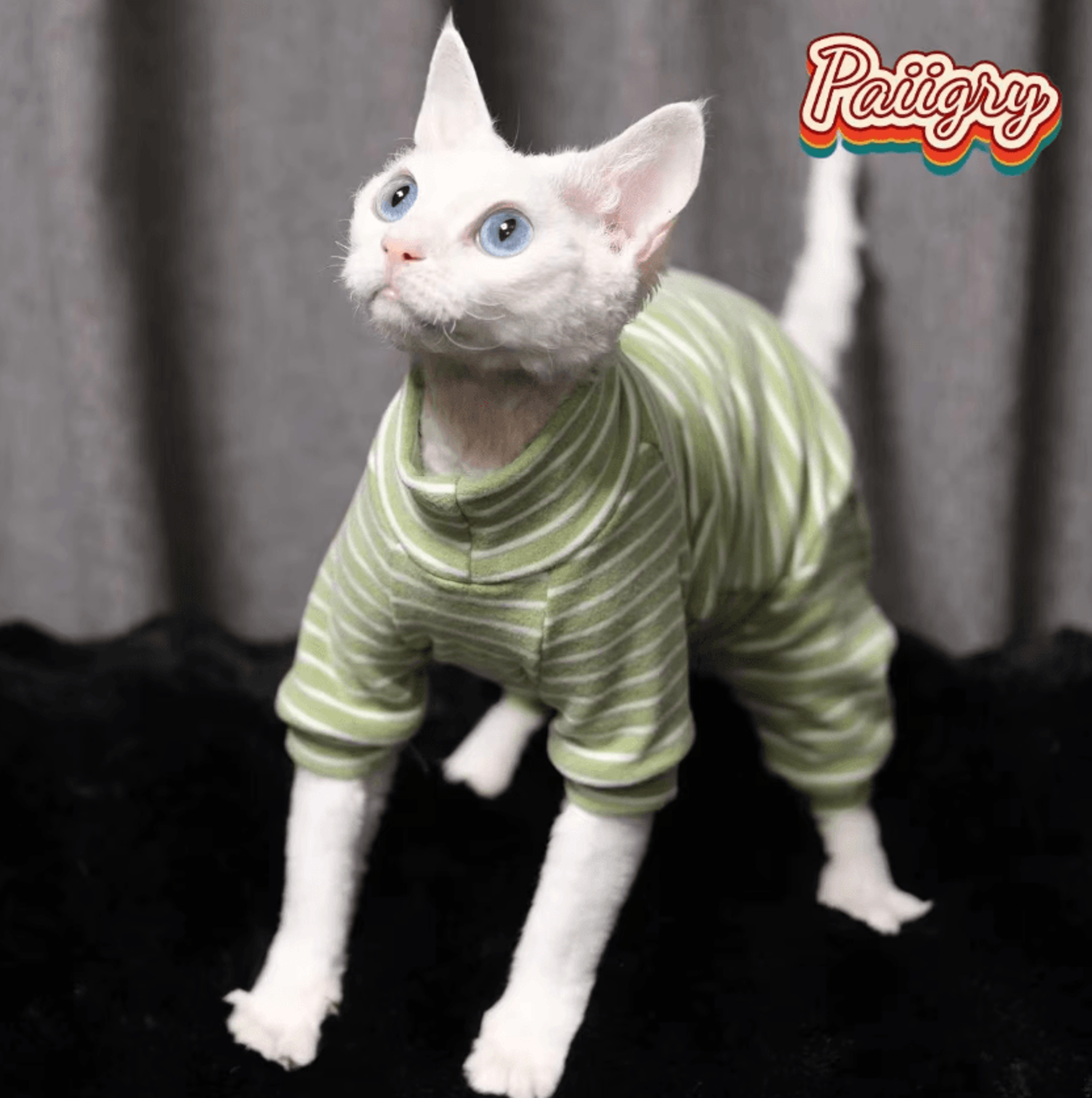 stretchfit sphynx cat pajamas warm four-legged pet clothes