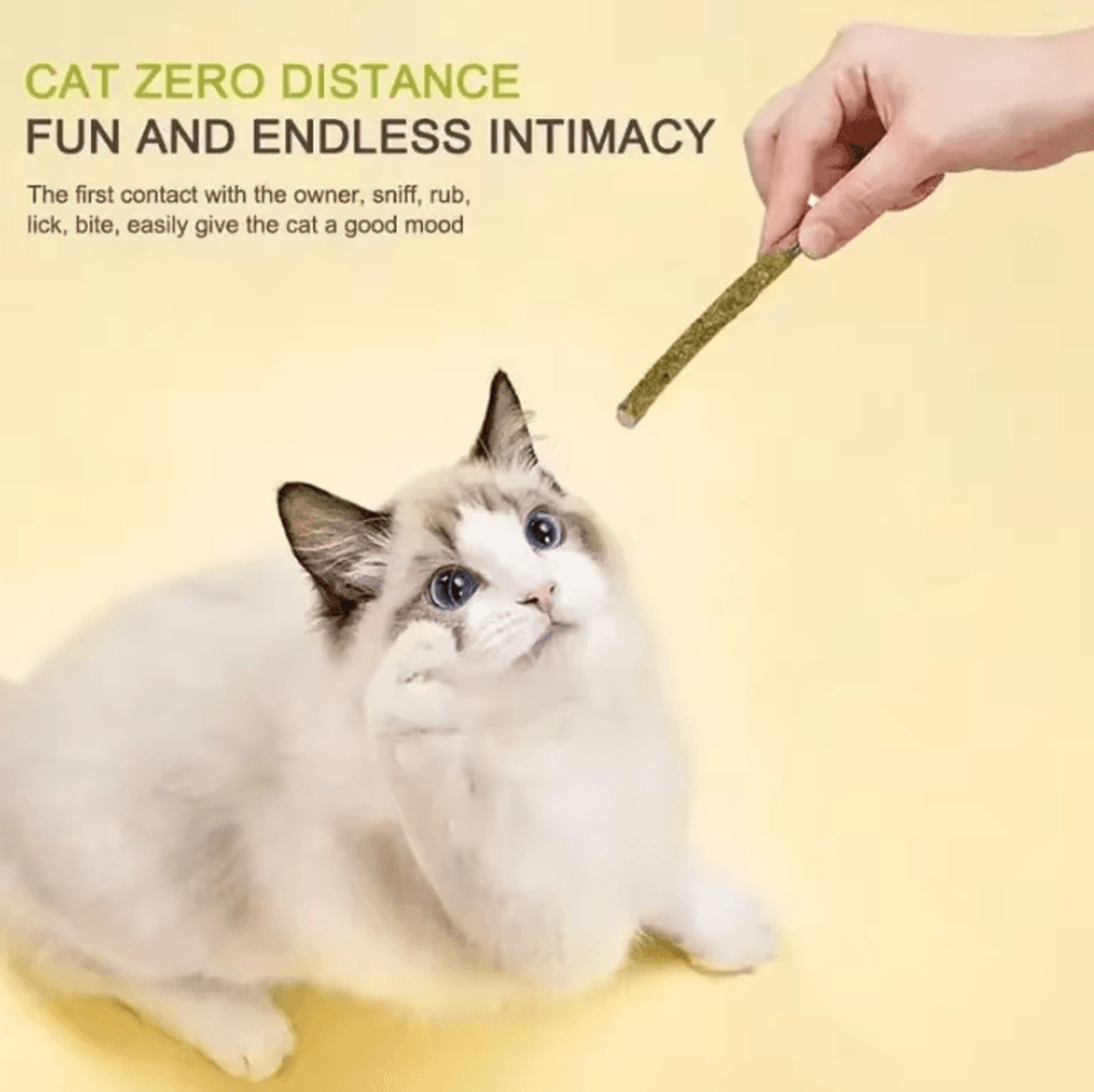 SilverVine FreshBite Matatabi Cat Chew Sticks For Teeth Cleaning  Play 2