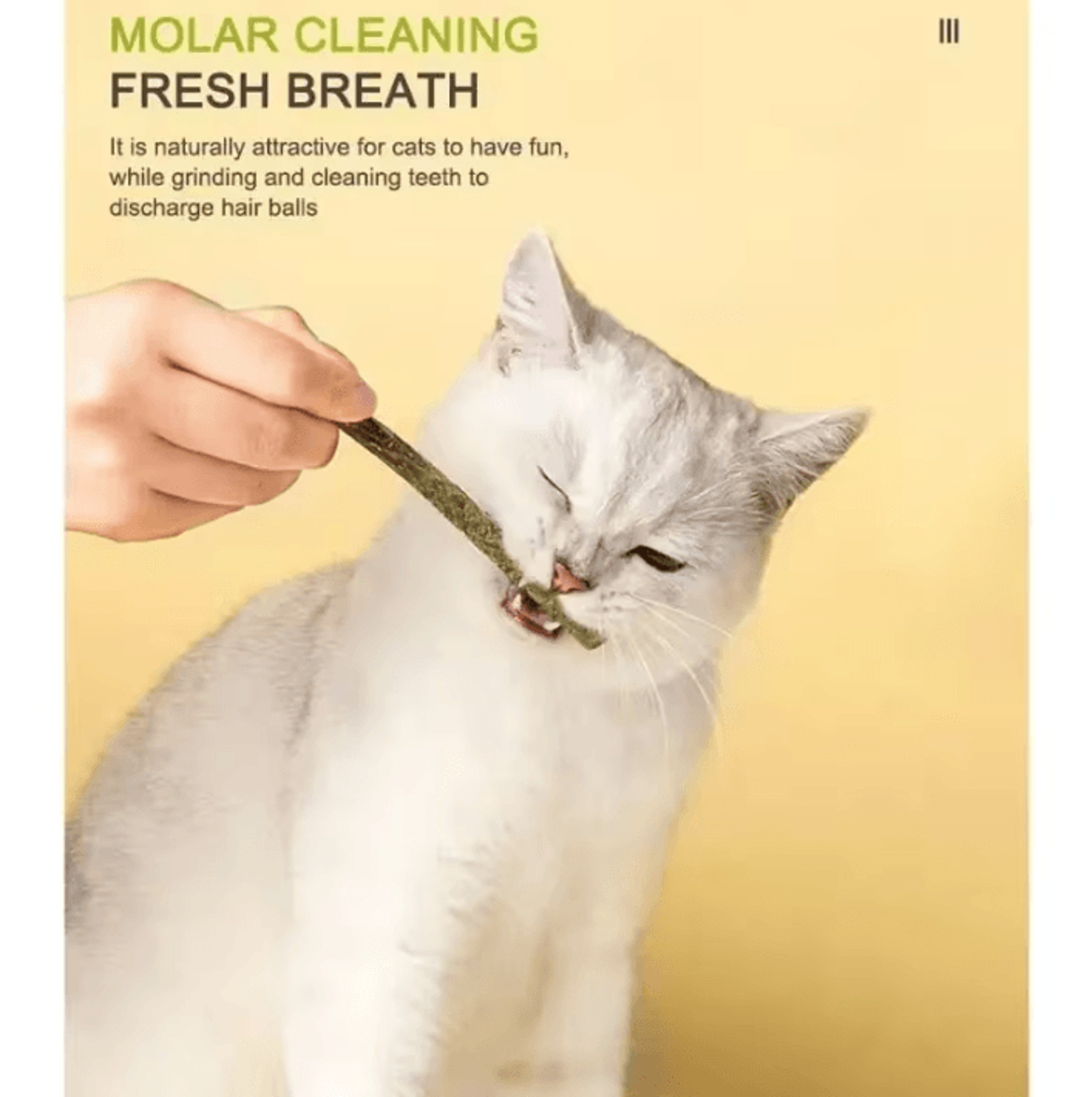 SilverVine FreshBite Matatabi Cat Chew Sticks For Teeth Cleaning  Play 3
