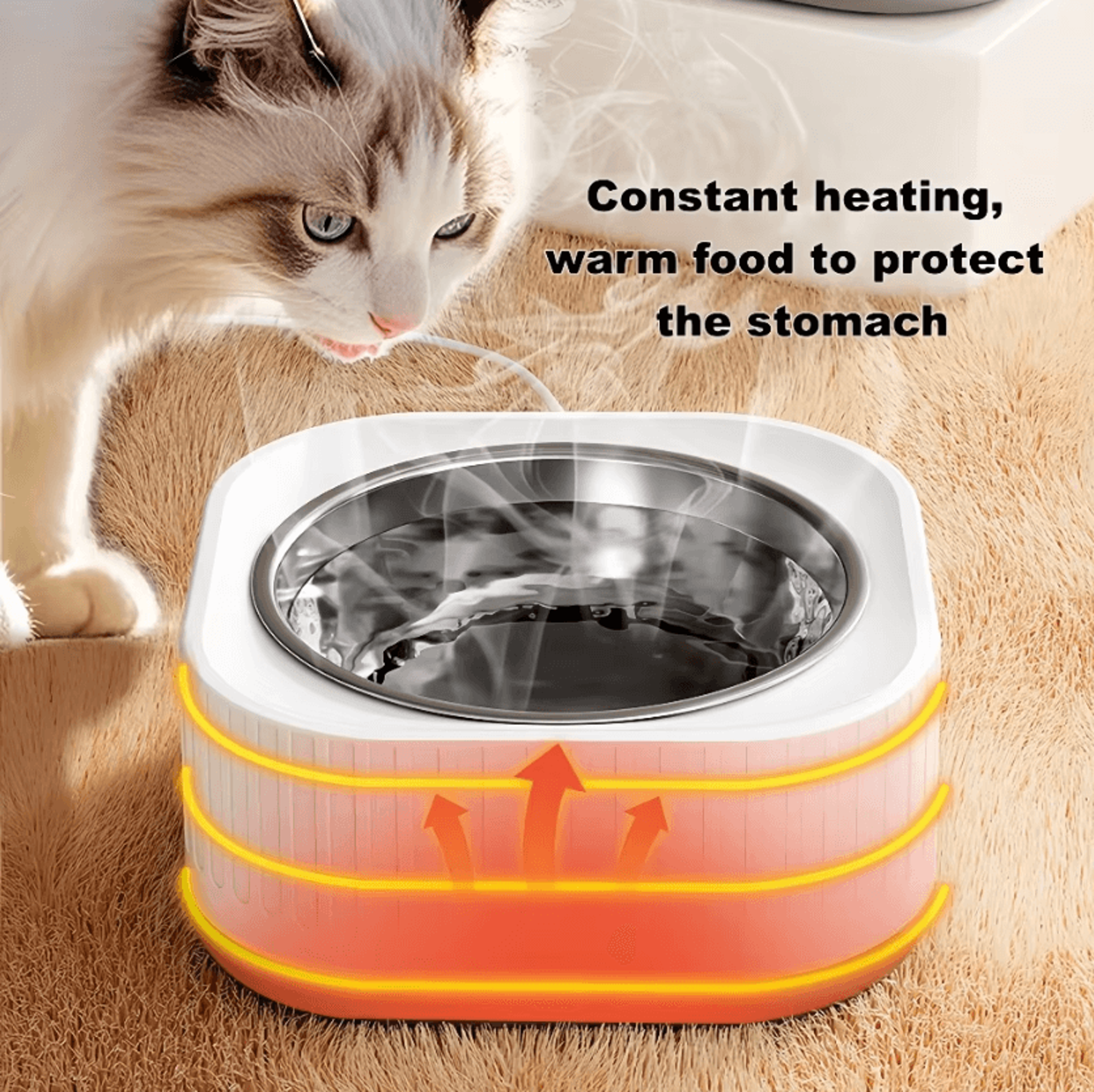 warmsip constant-temperature pet heating bowl for cats & small dogs
