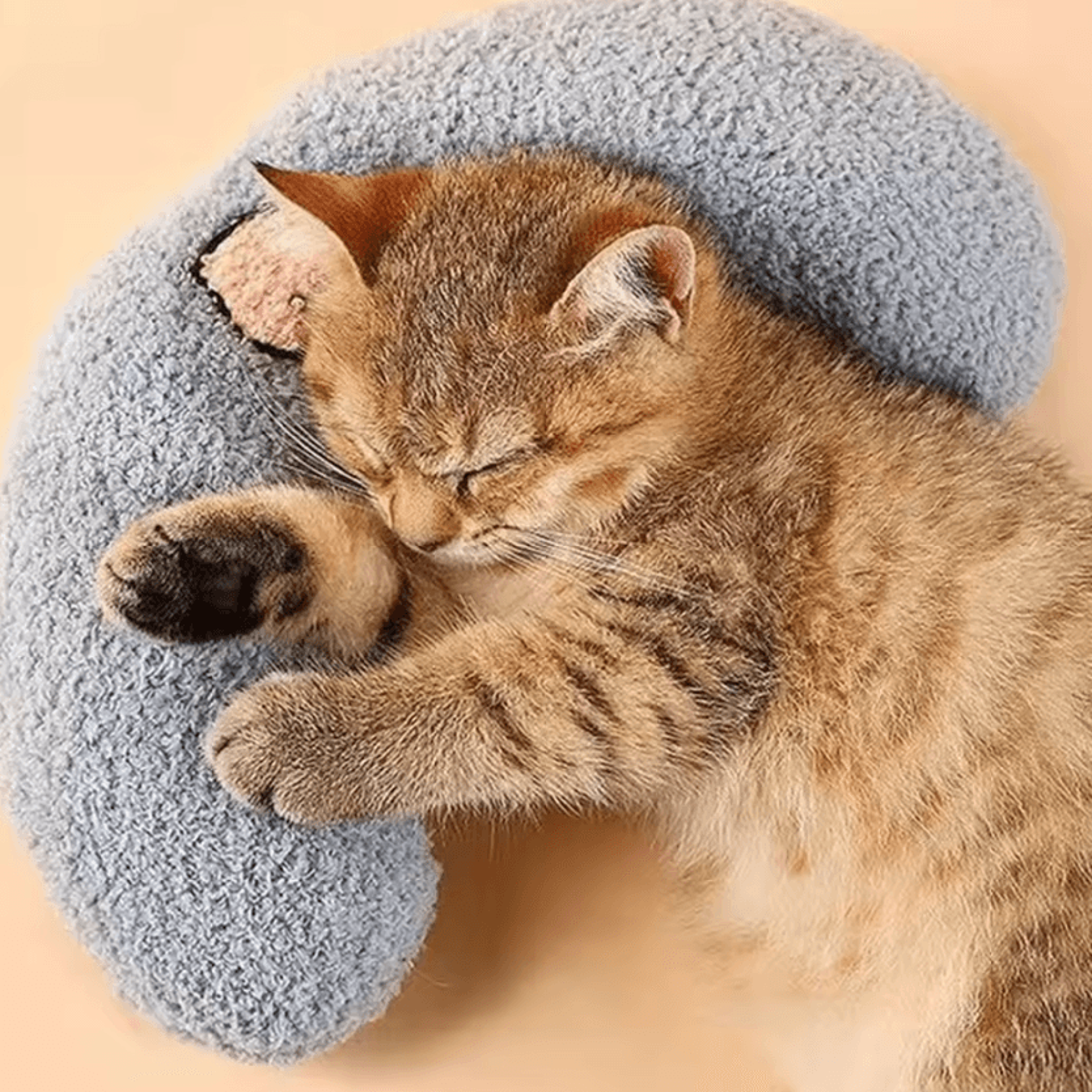 cloudnest ultra-soft calming cat pillow bed for cozy sleep & joint support