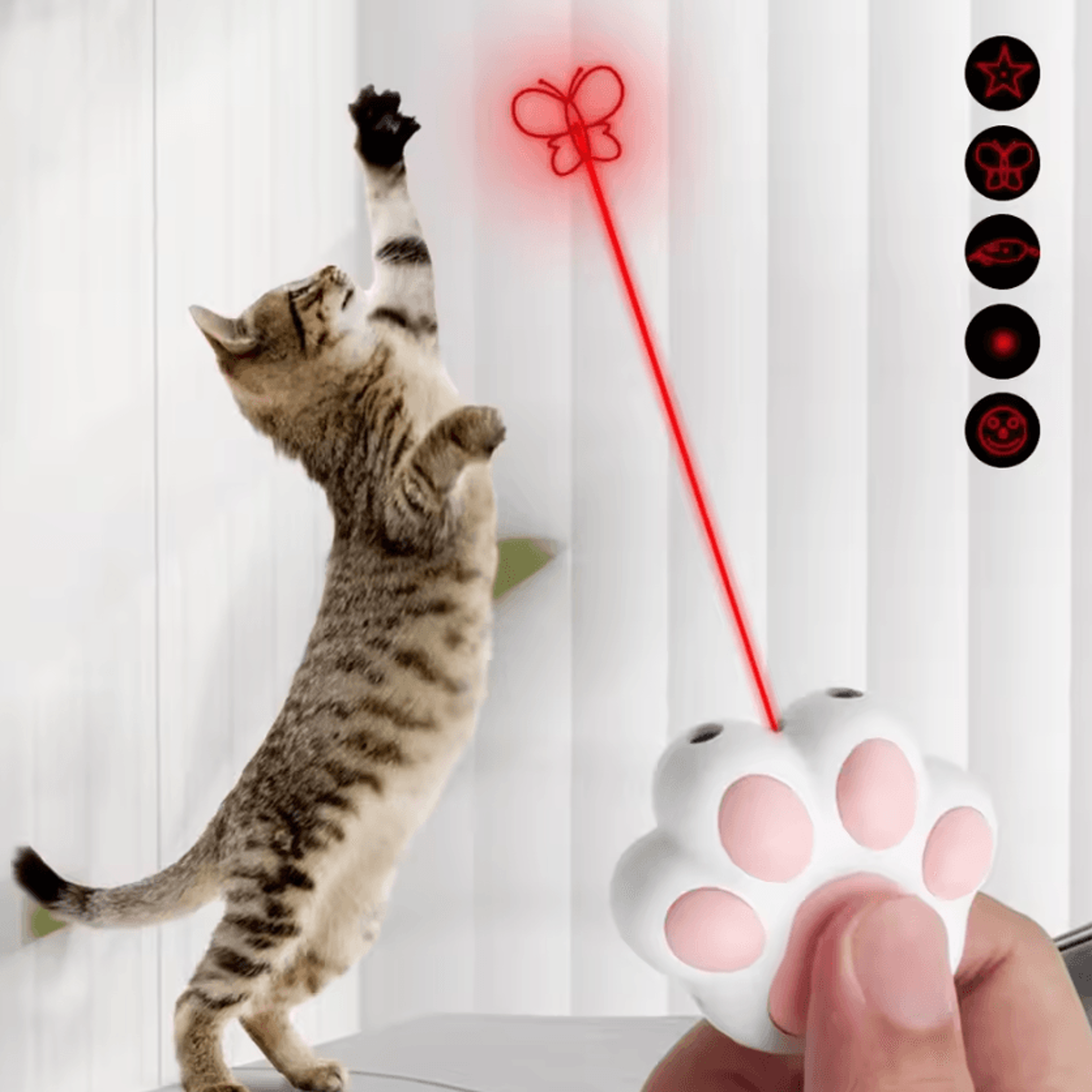LaserChase USB Rechargeable Interactive Cat Laser Toy 1