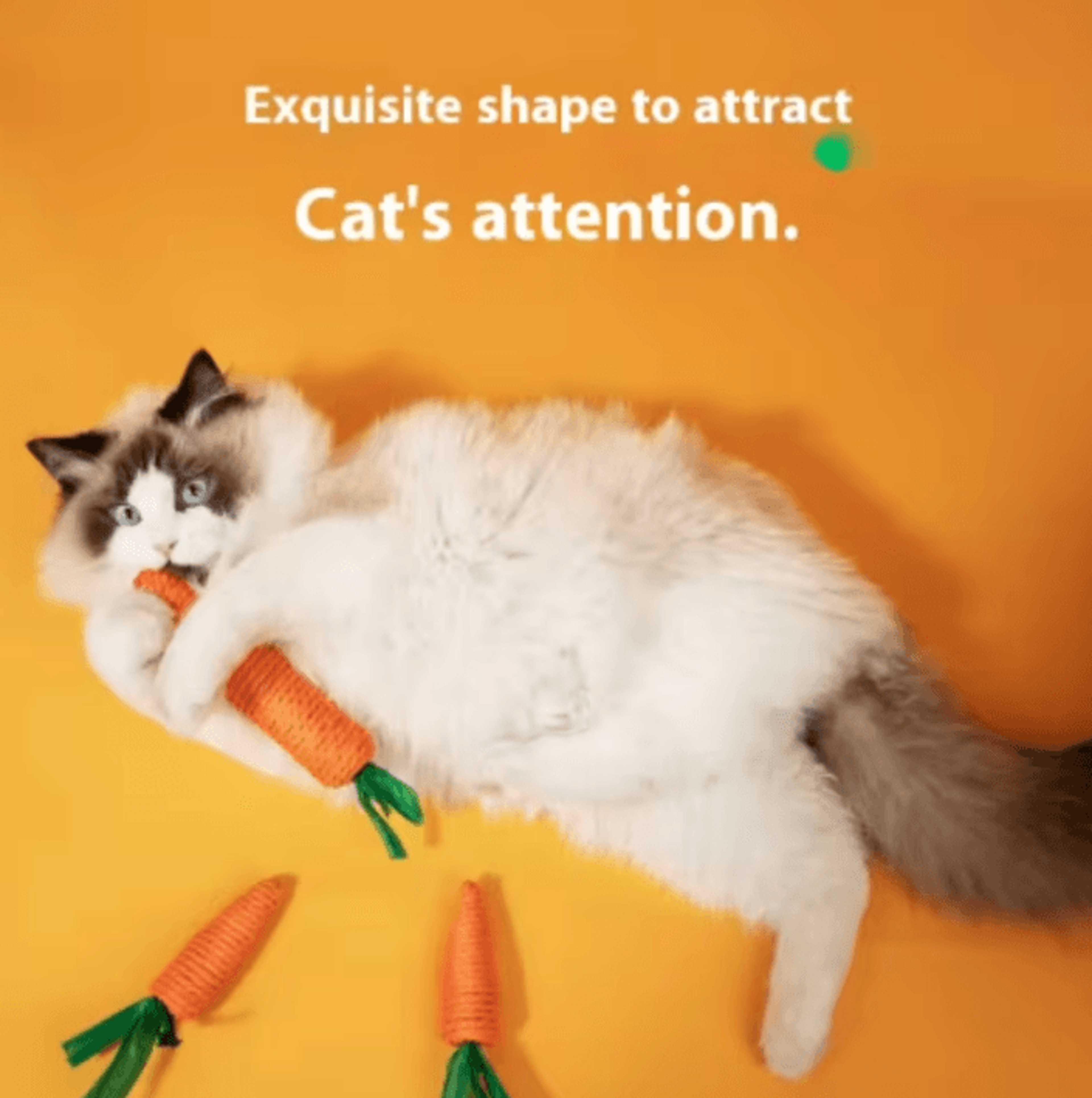 Crunchy Carrot Cat Teething Toy  Interactive Sound Cuddle Stick For Chewing  Play 0