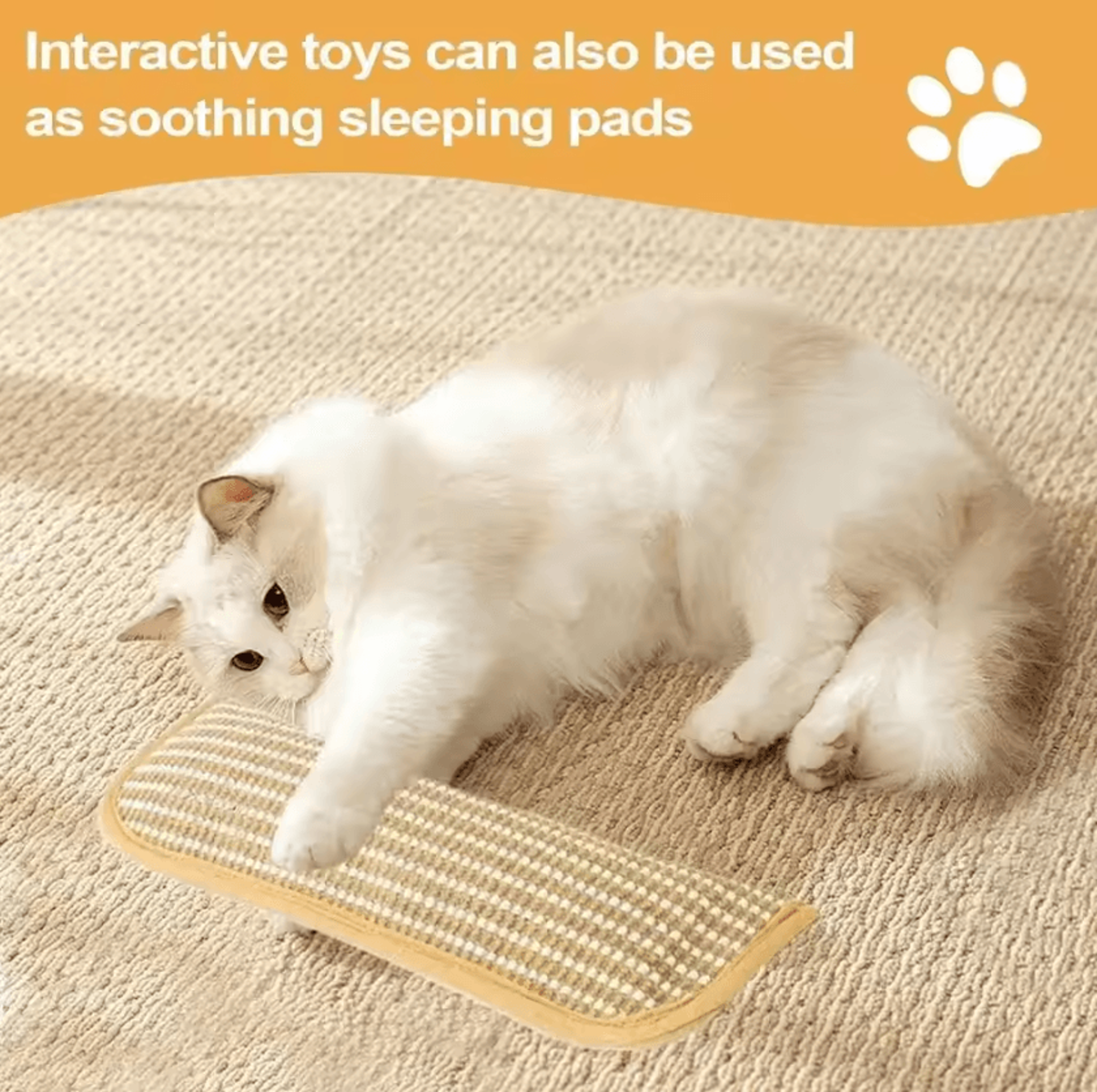 Catnip Scratch  Chew Pillow  Interactive Cat Scratcher Toy For Claw Care  Play 2