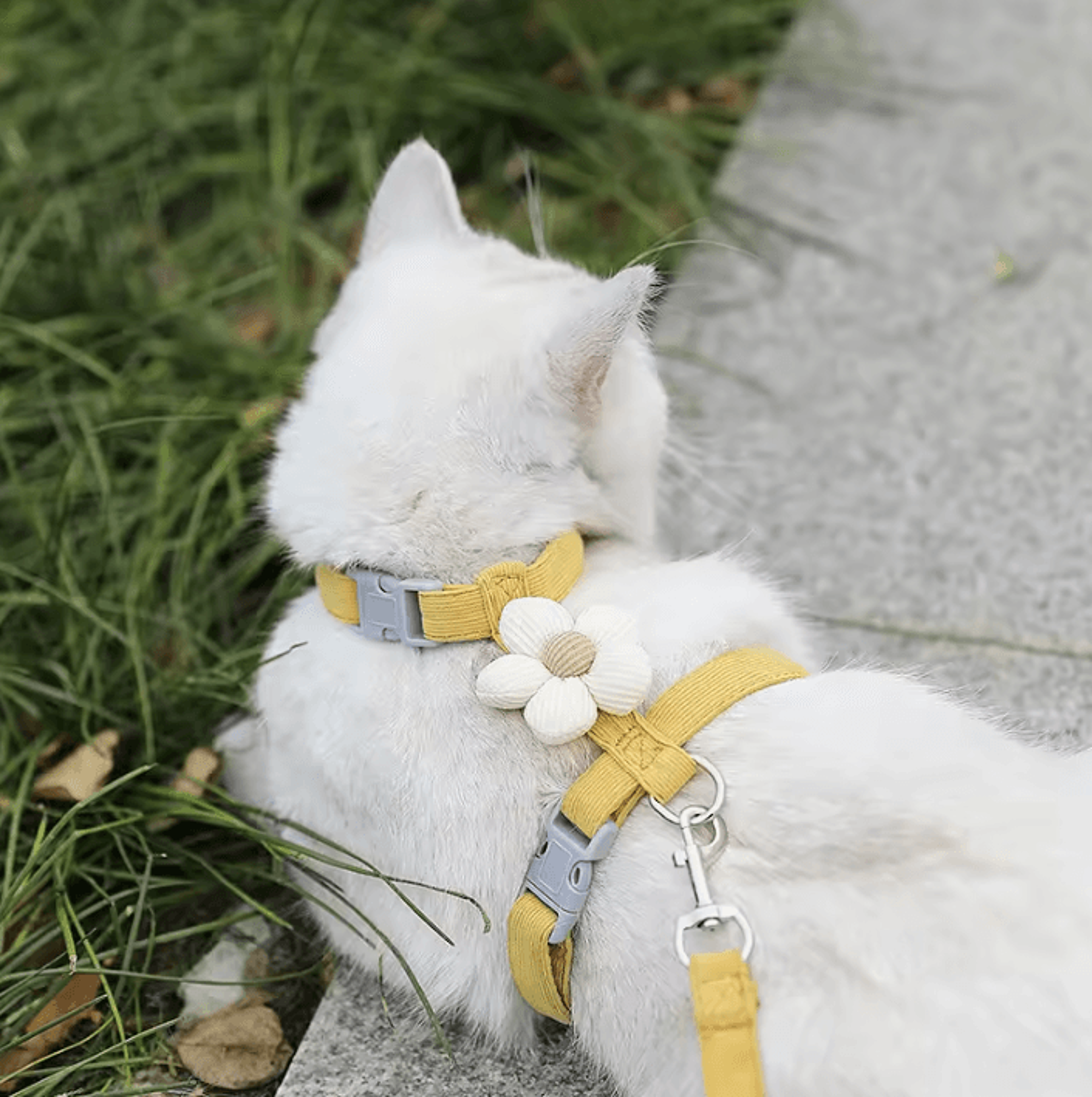 BloomWalk Floral Pet Harness  Leash Set  Adjustable Breathable Flower Harness For Cats  Small Dogs 1