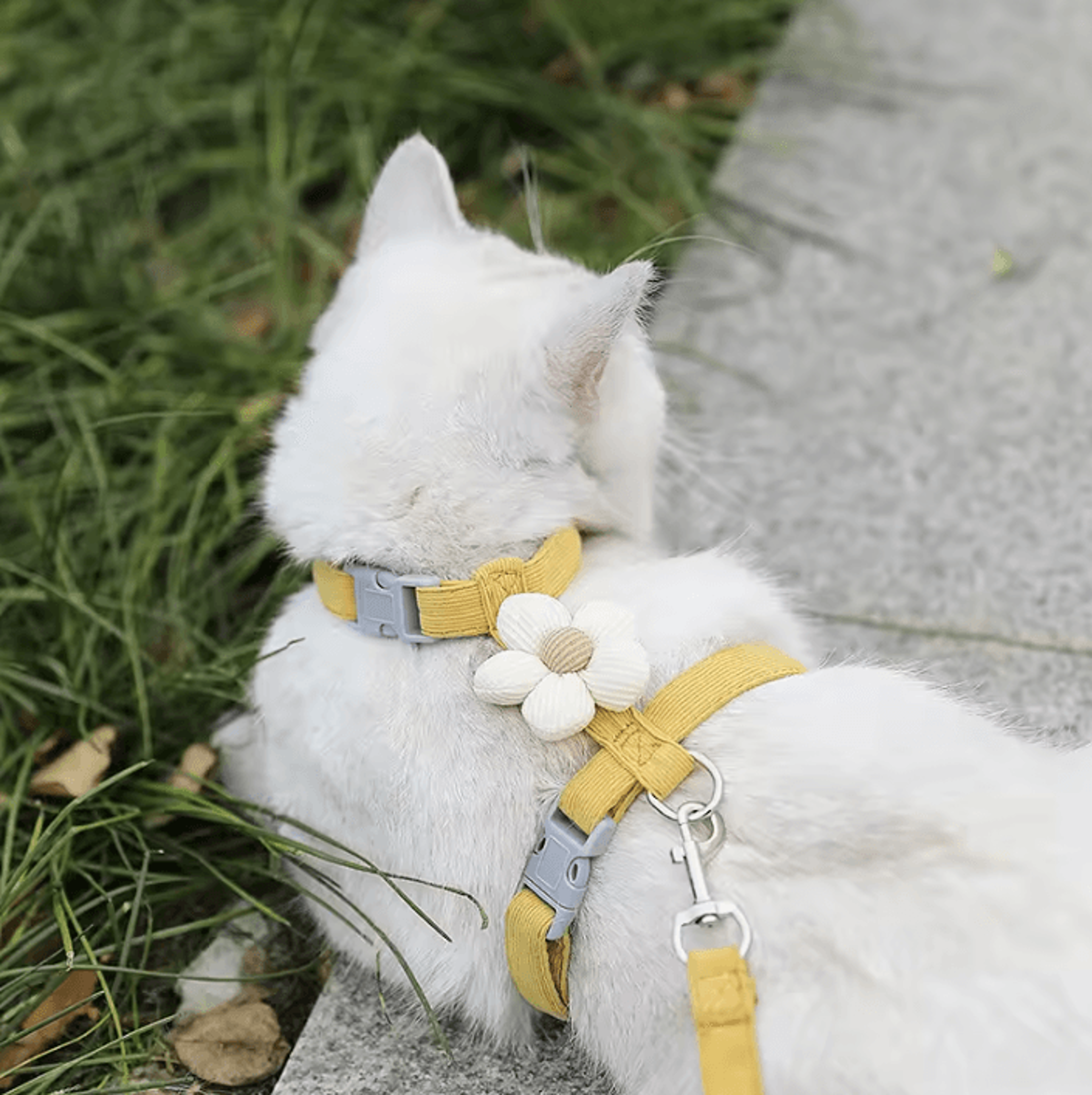 BloomWalk Floral Pet Harness  Leash Set  Adjustable Breathable Flower Harness For Cats  Small Dogs 5