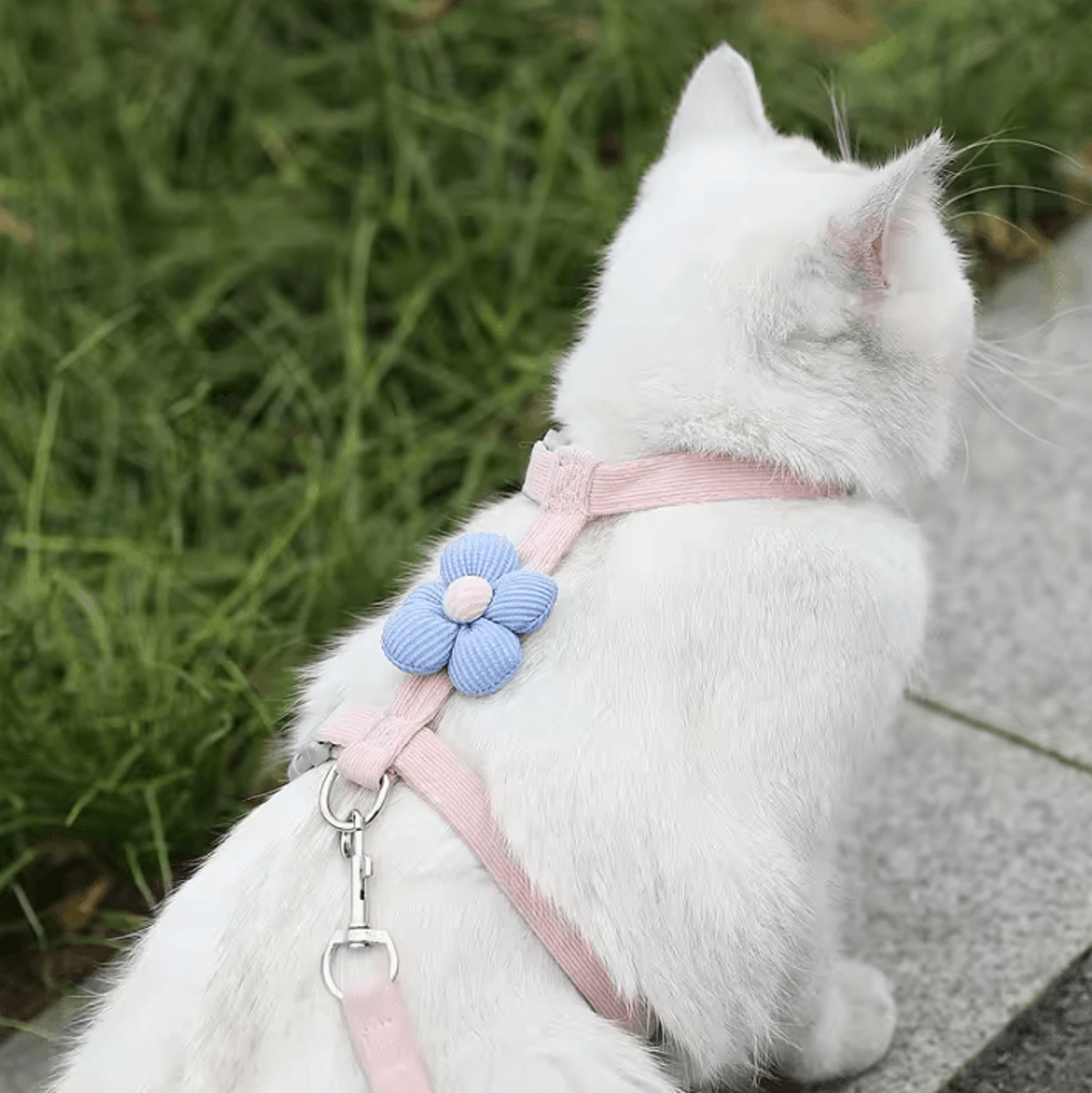 BloomWalk Floral Pet Harness  Leash Set  Adjustable Breathable Flower Harness For Cats  Small Dogs 6