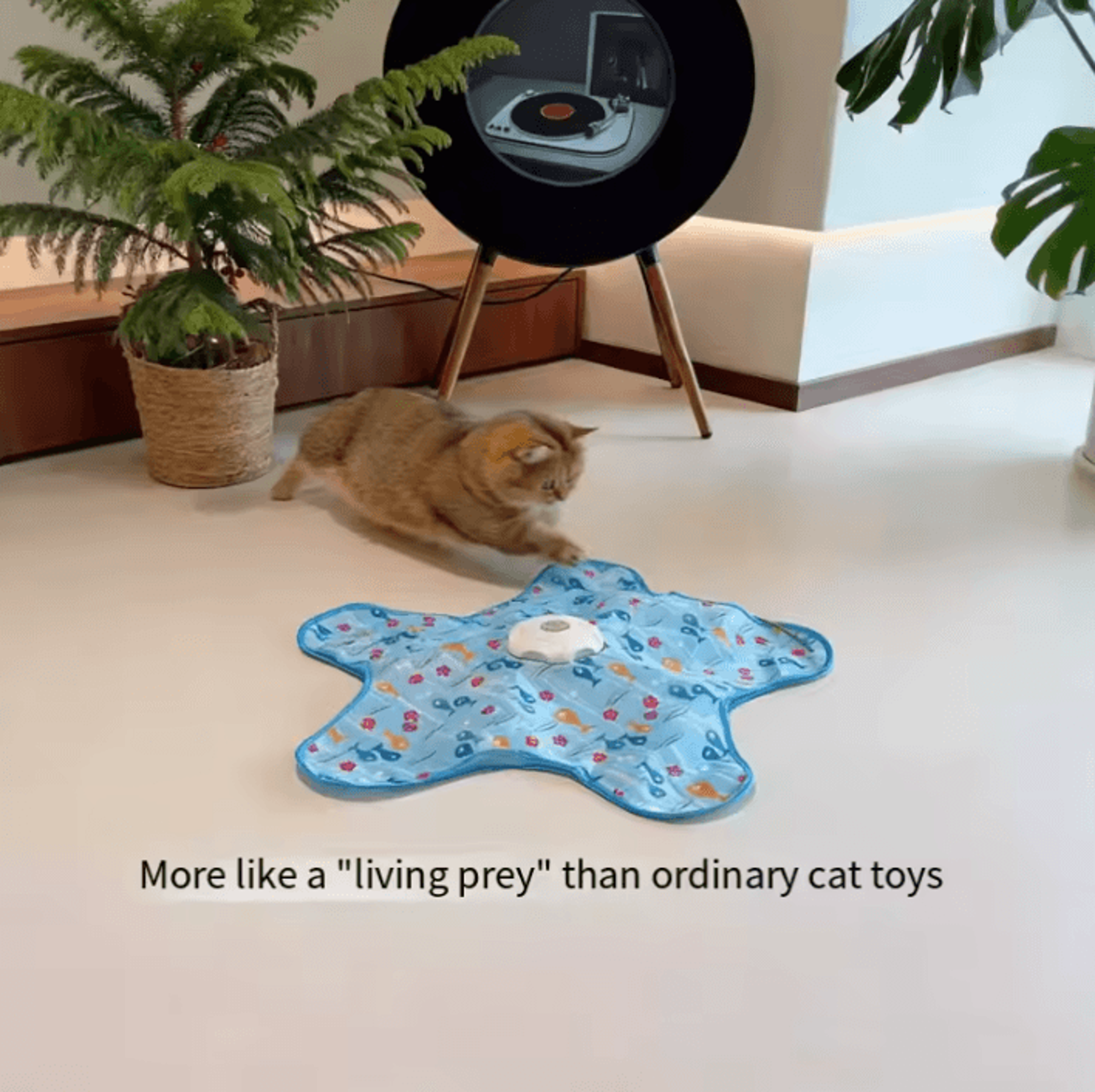 WhirlHide Interactive Hunting Toy  Automatic Cat Toy For Endless Chase  Surprise Play 1