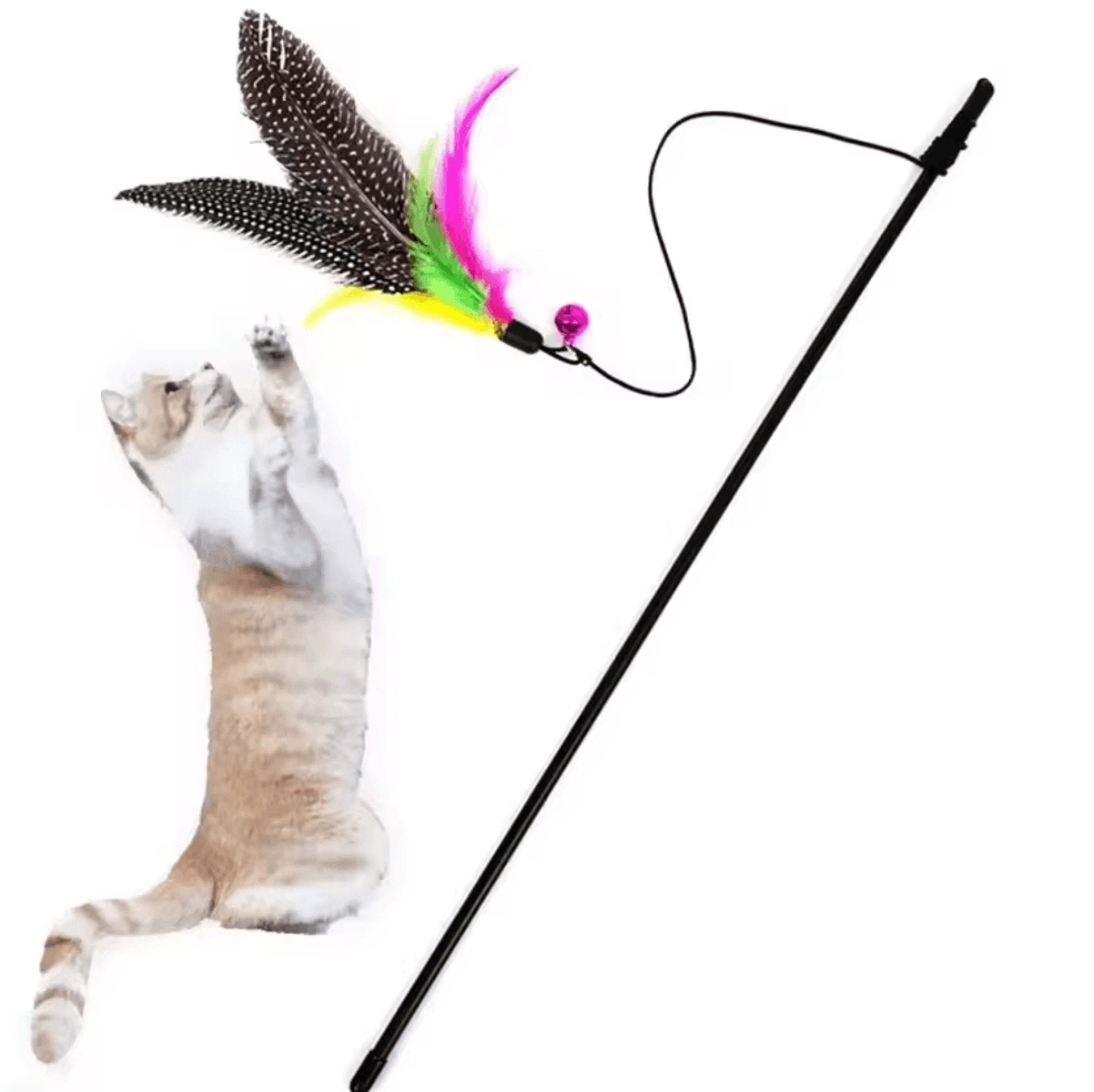 Feather Bell Cat Teaser Wand  Interactive Cat Teaser Toy For Chasing Jumping  Bonding 0