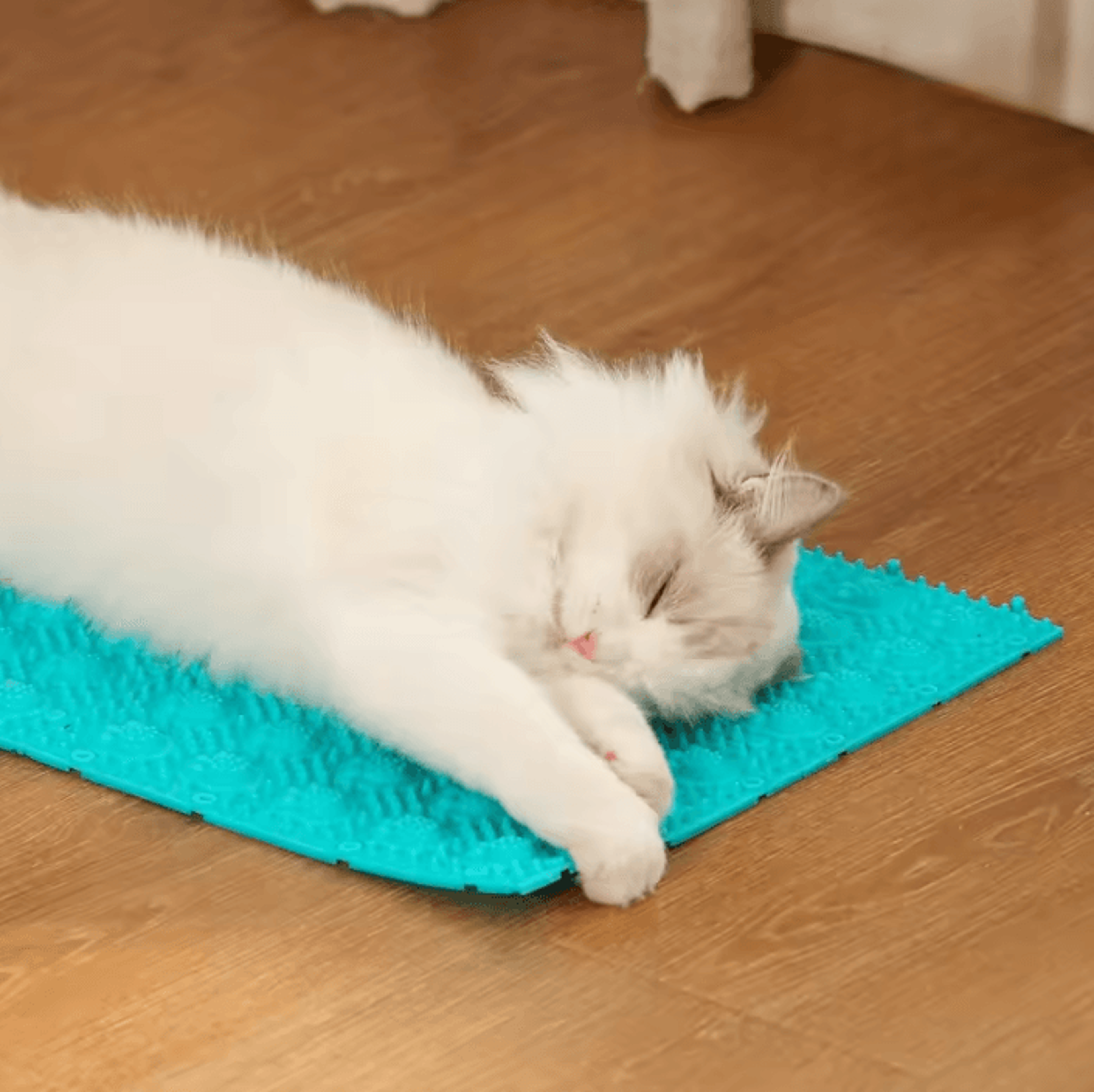 SelfCleaning Cat Grooming  Massage Comb 2