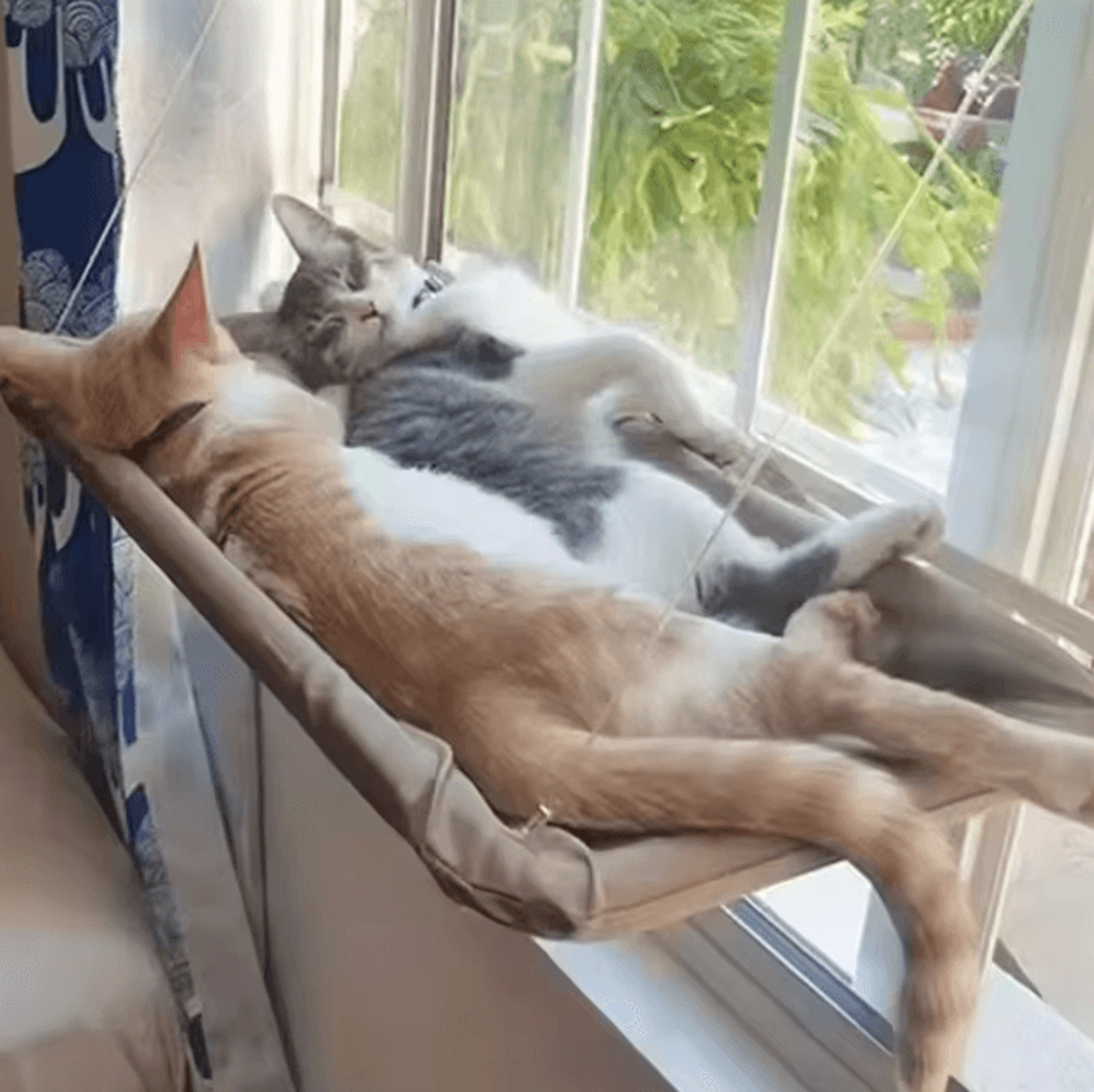 Ultra Soft Window Hammock Cat Bed 0