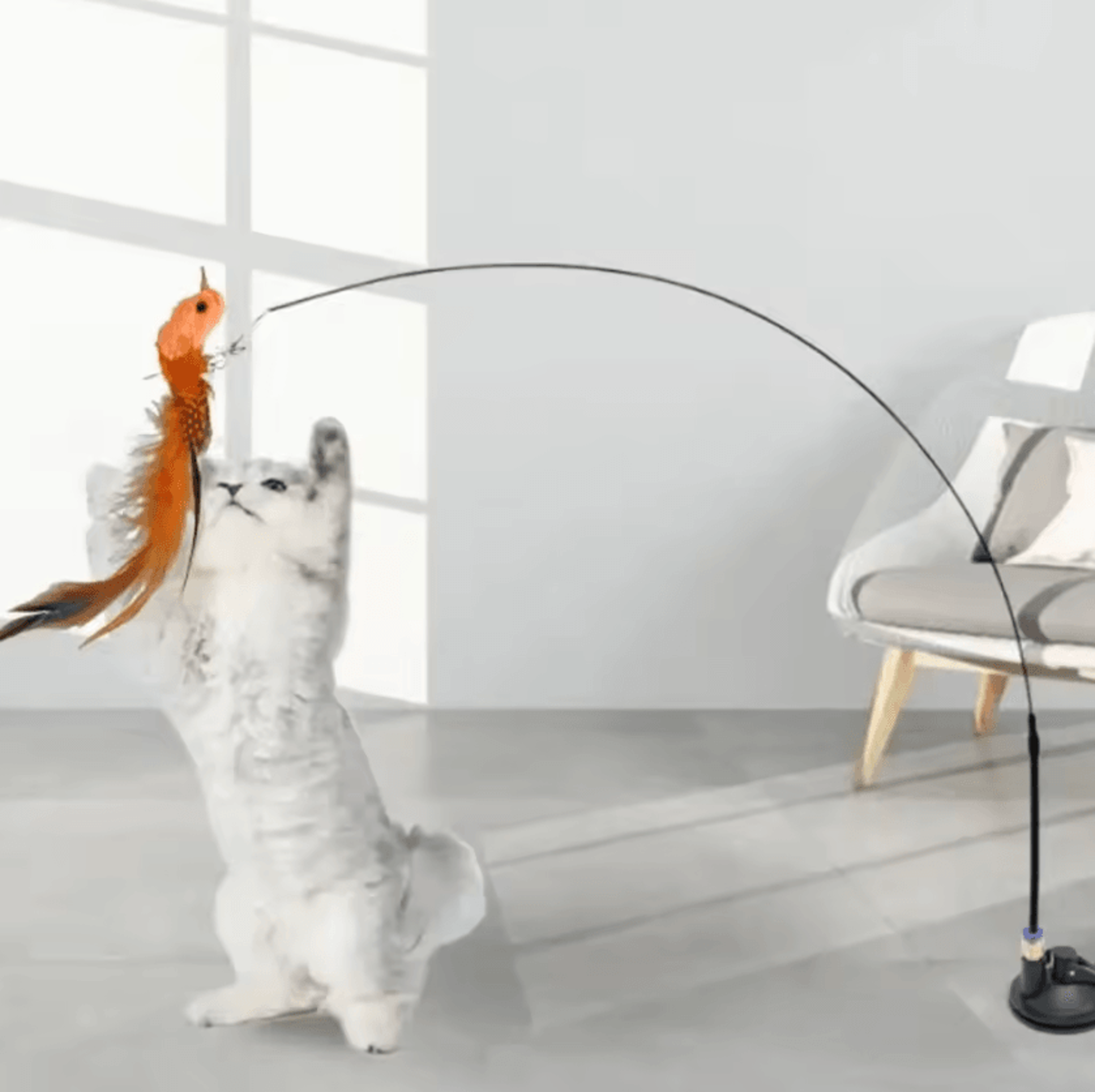 FeatherFly Interactive Bird Teaser Cat Toy 1