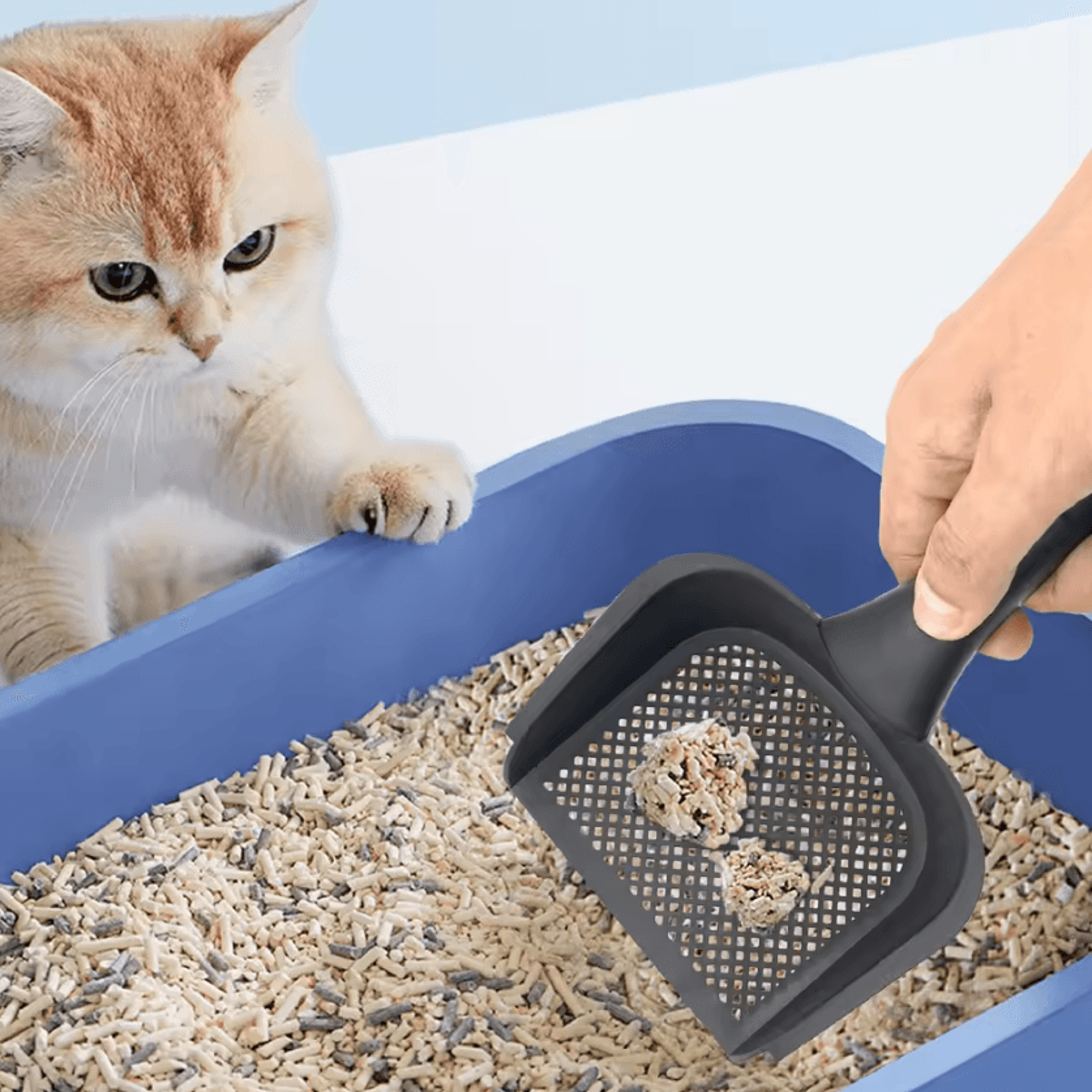 EasyClean HeavyDuty Cat Litter Scoop 1