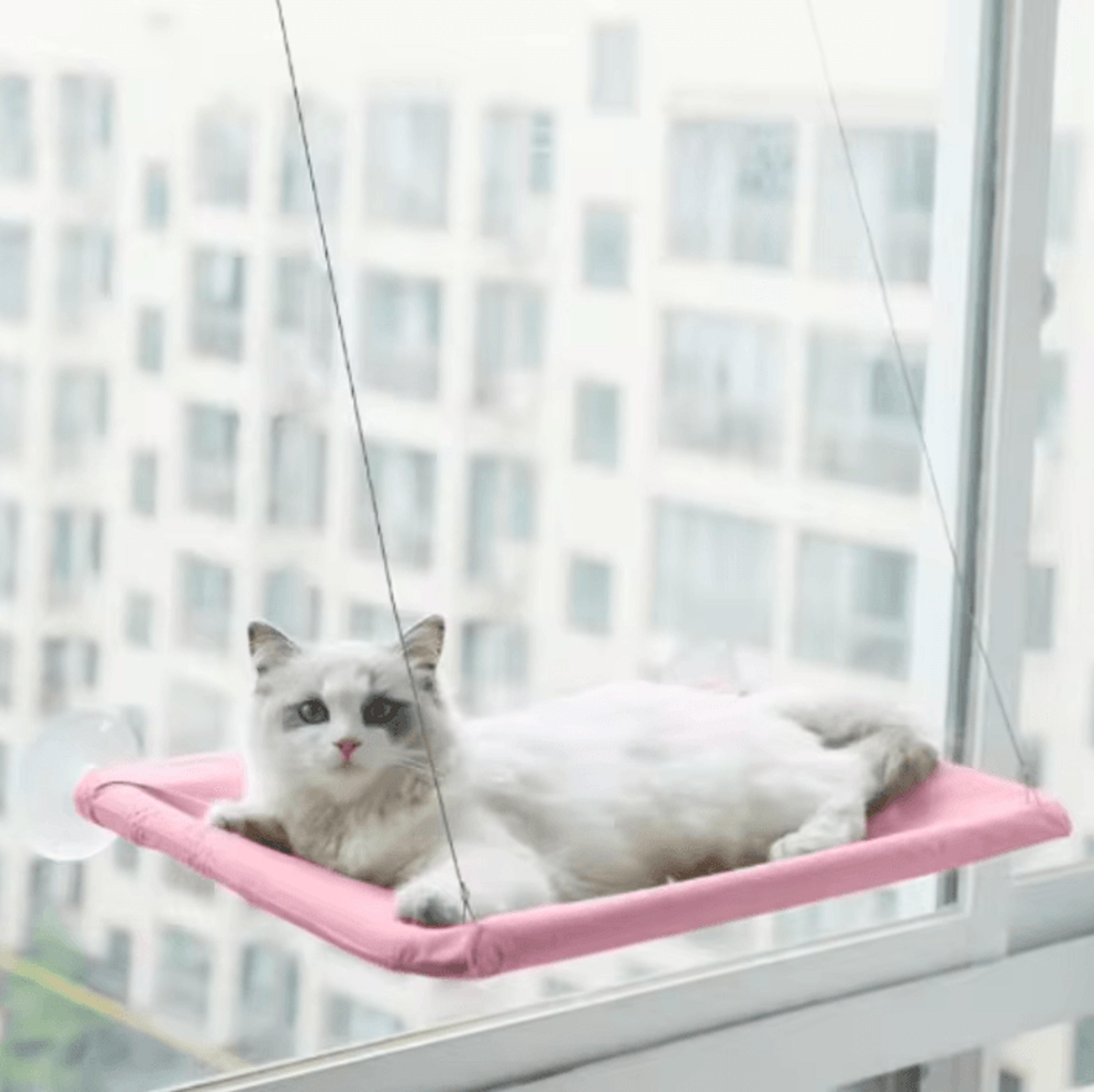 SunnyPerch Window Cat Hammock Bed 8