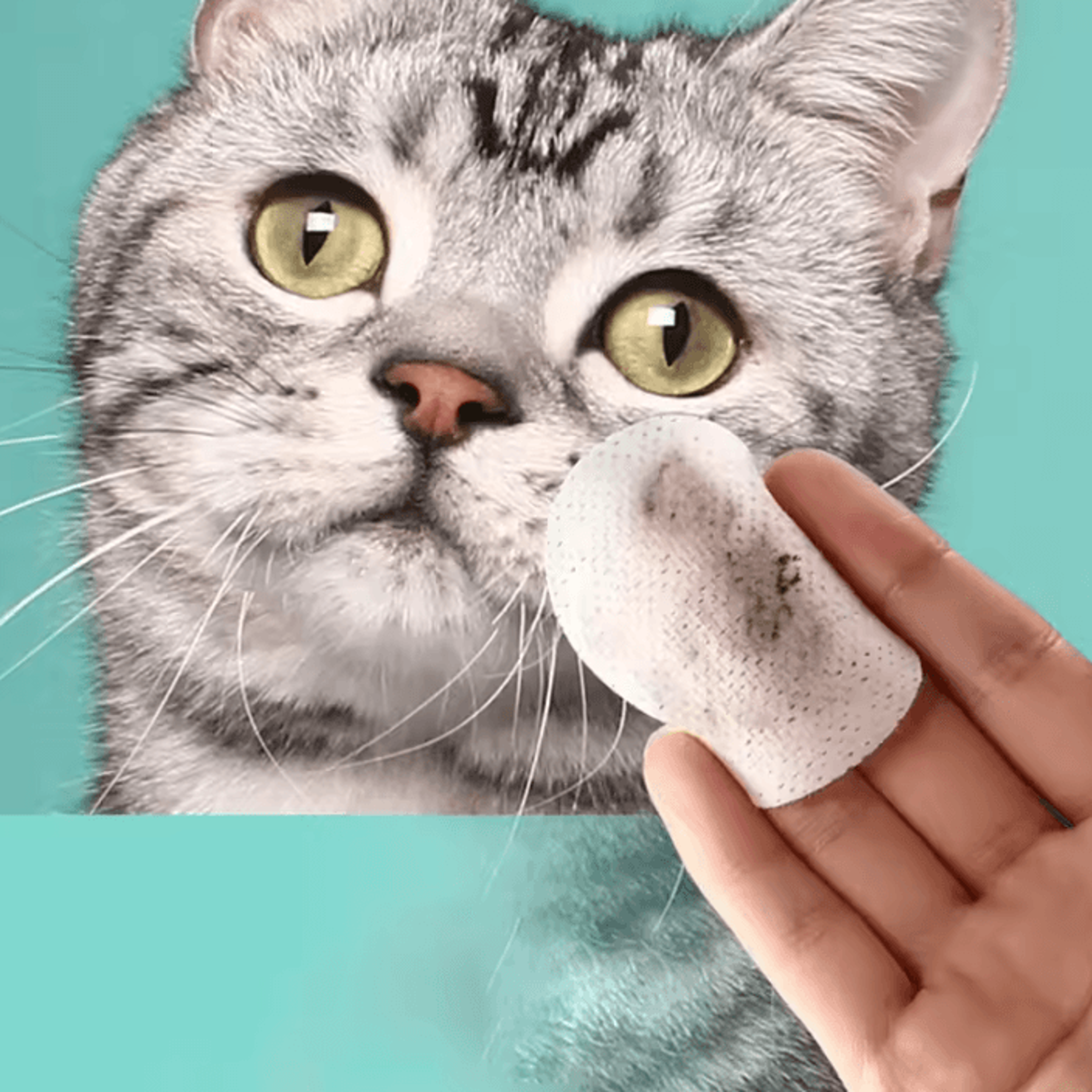 ClearSight Pet Eye Wipes  Gentle Tear Stain  Eye Cleaning Wipes 130 Count 1