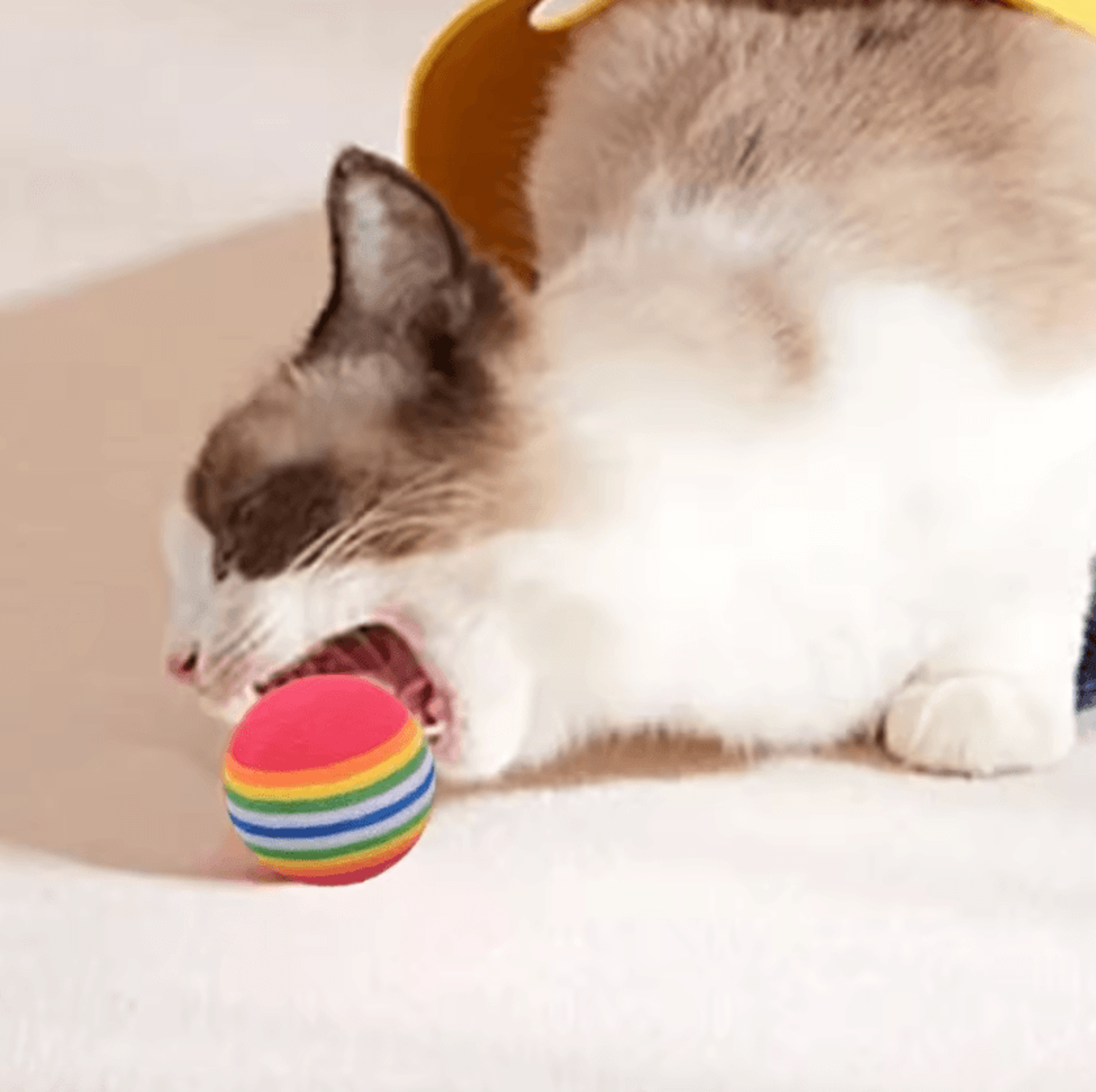 RainbowBounce EVA Cat Toy Balls  Interactive Chew  Chase Play Set 1