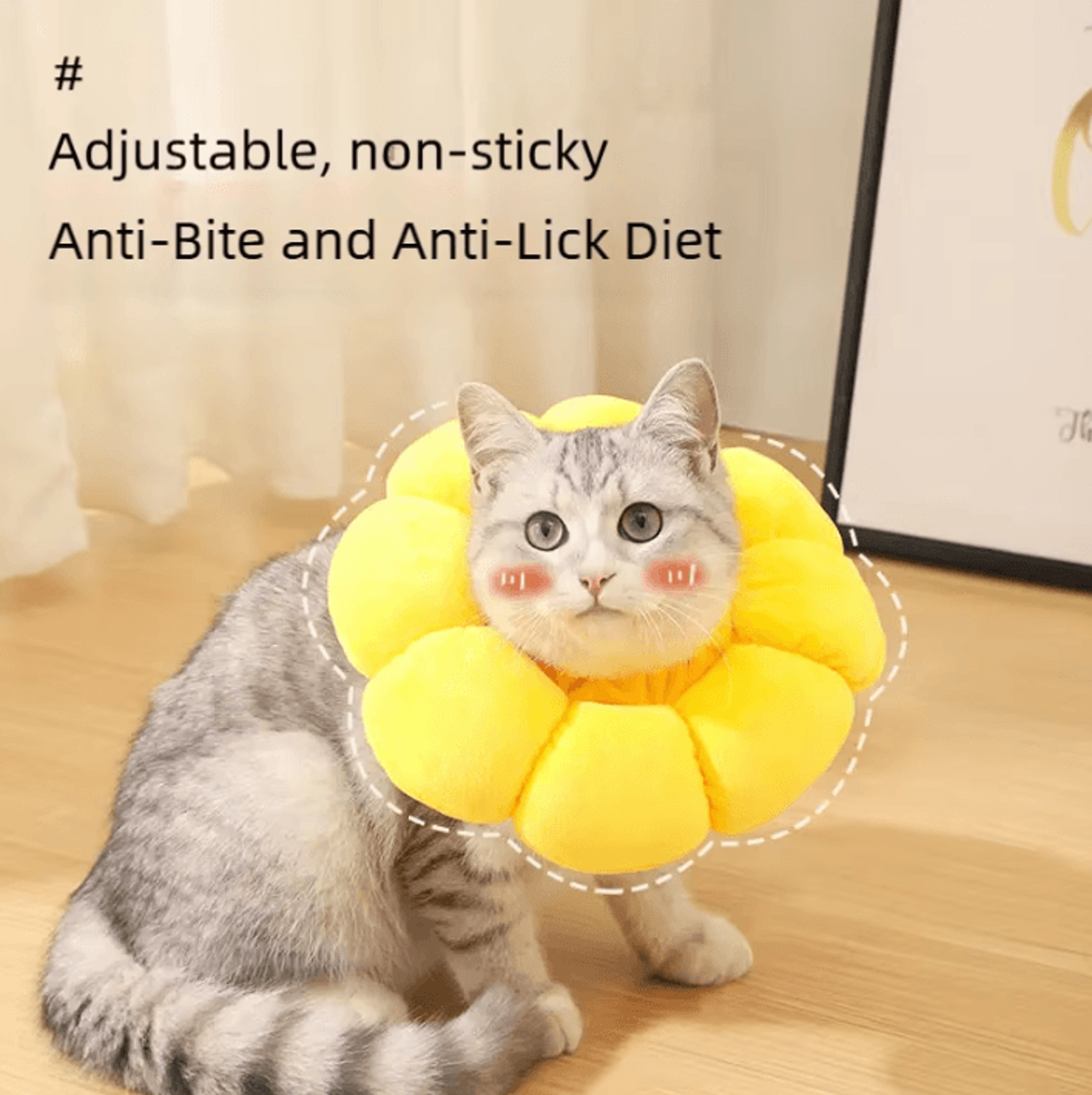SunnyBloom Recovery Collar For Cats  Small Pets 2