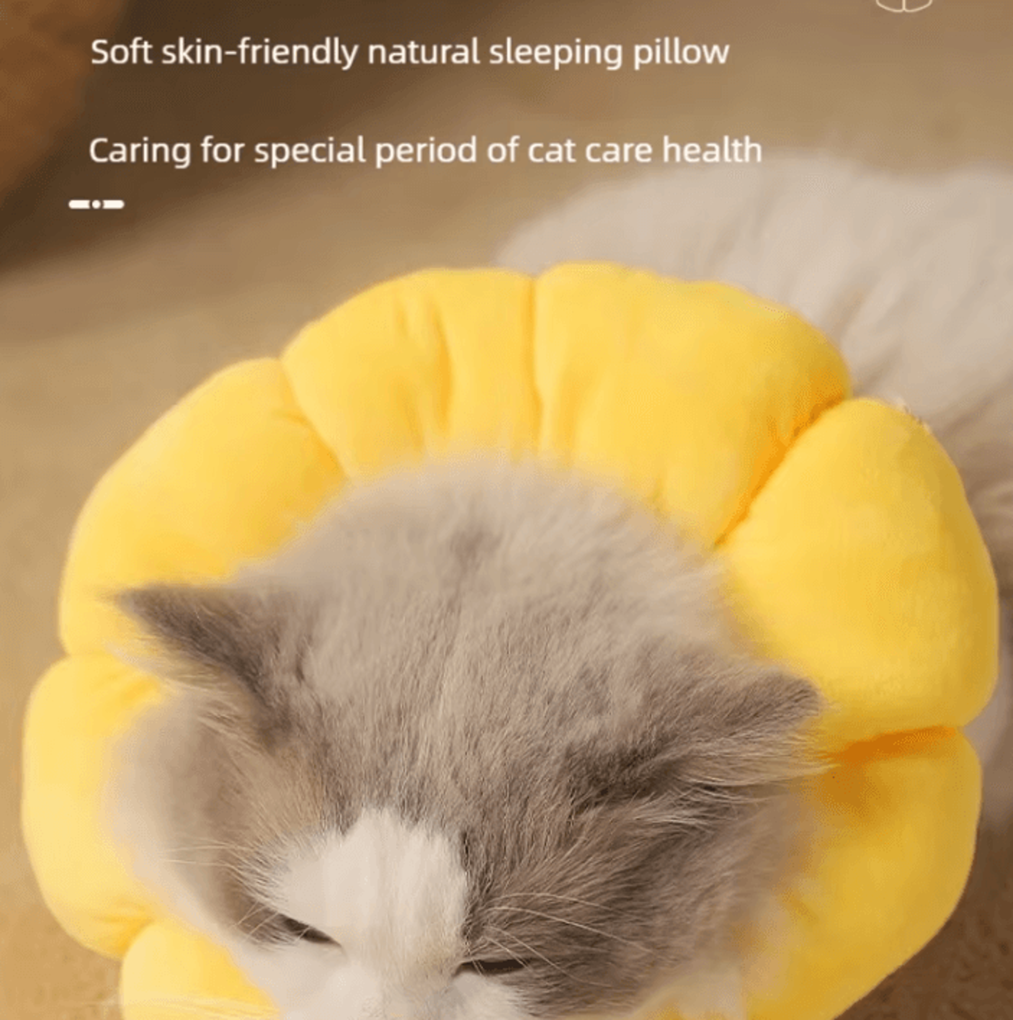 SunnyBloom Recovery Collar For Cats  Small Pets 4
