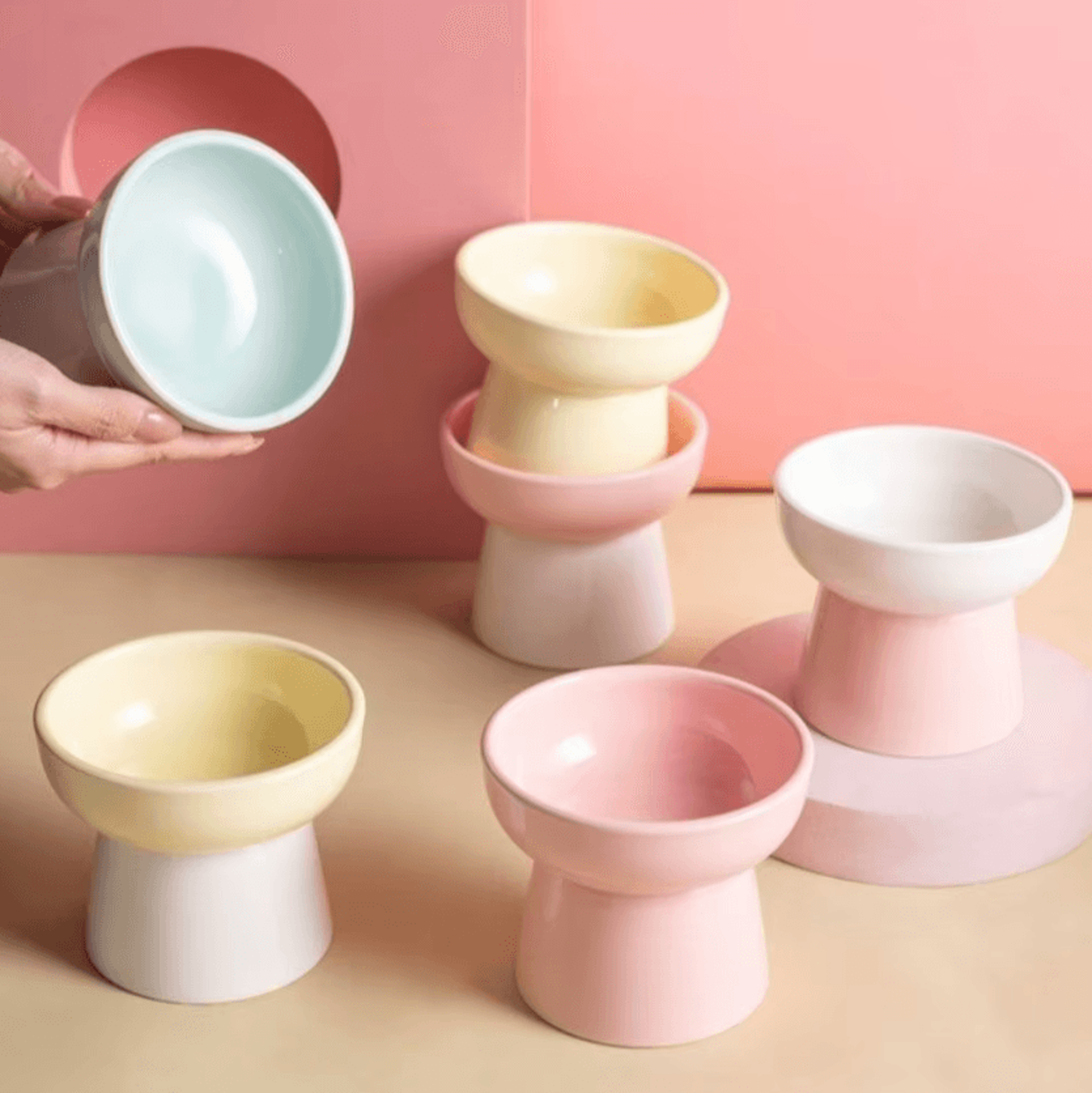 elevabowl ceramic raised pet feeding bowl – 300ml