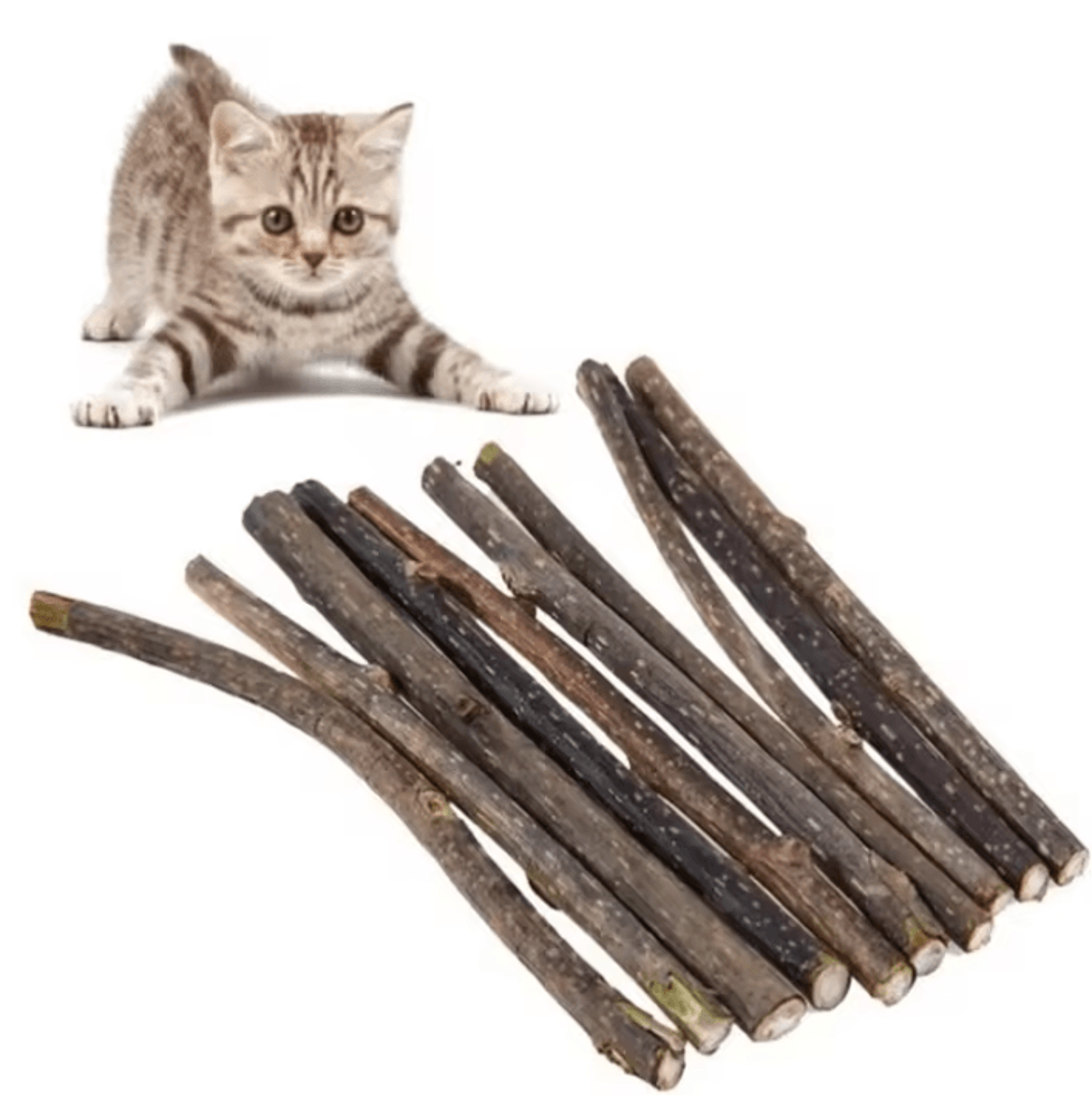 SilverVine Natural Cat Chew Sticks For Dental Health  Play 2