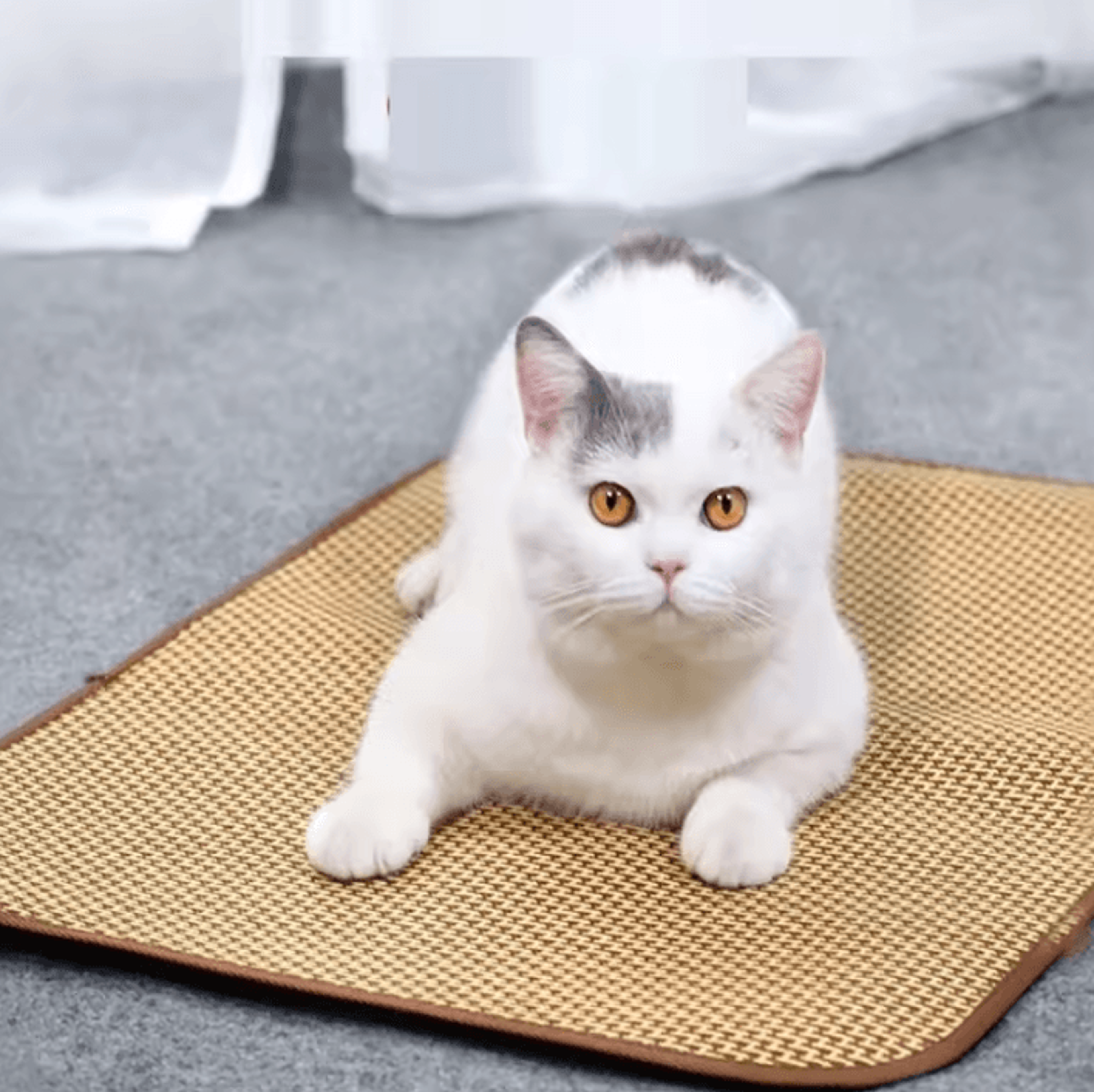 CoolPaws Cooling Pet Mat  Summer Comfort Bed For Dogs  Cats 1