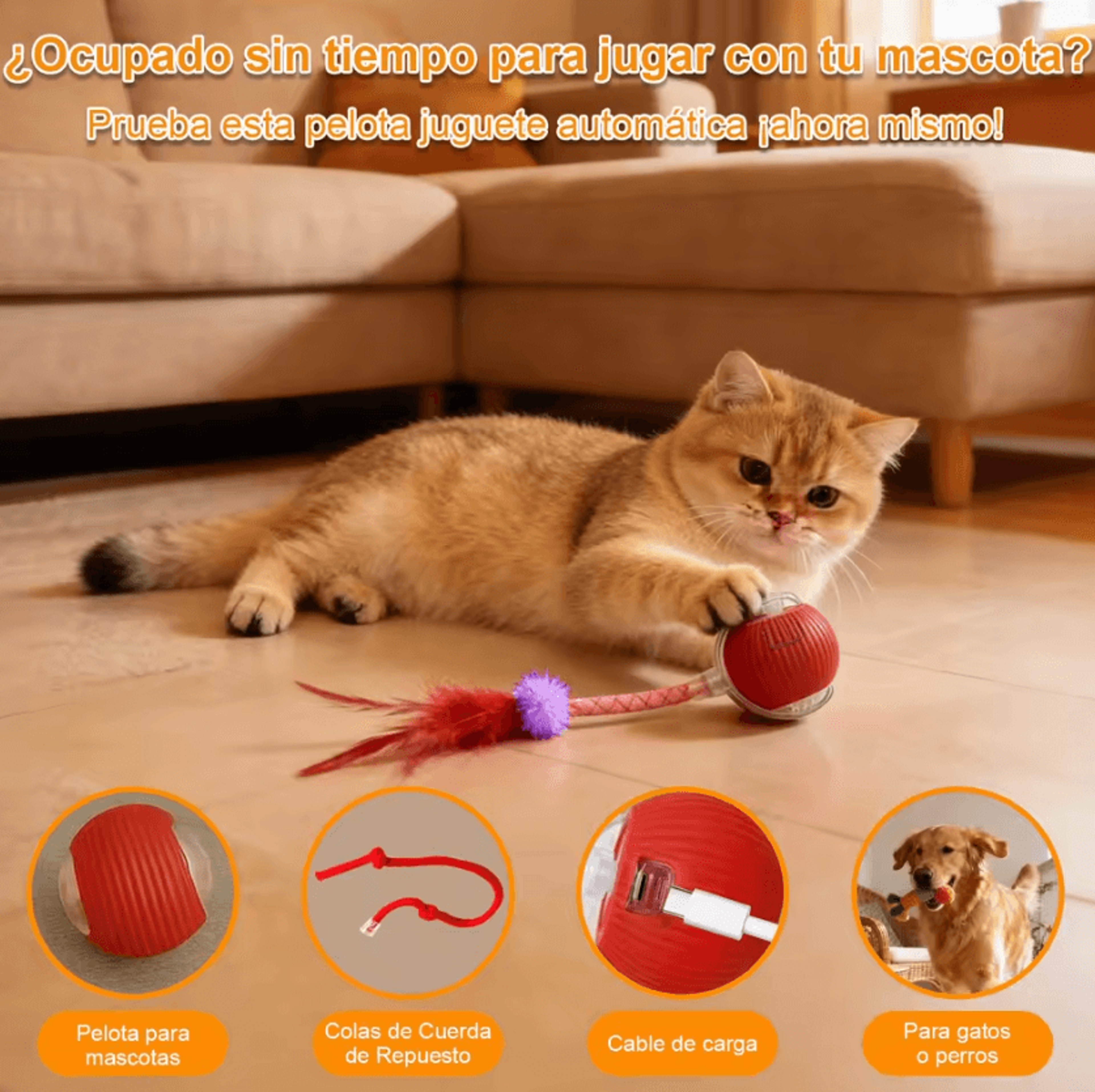 speedytail smart interactive moving ball for cats