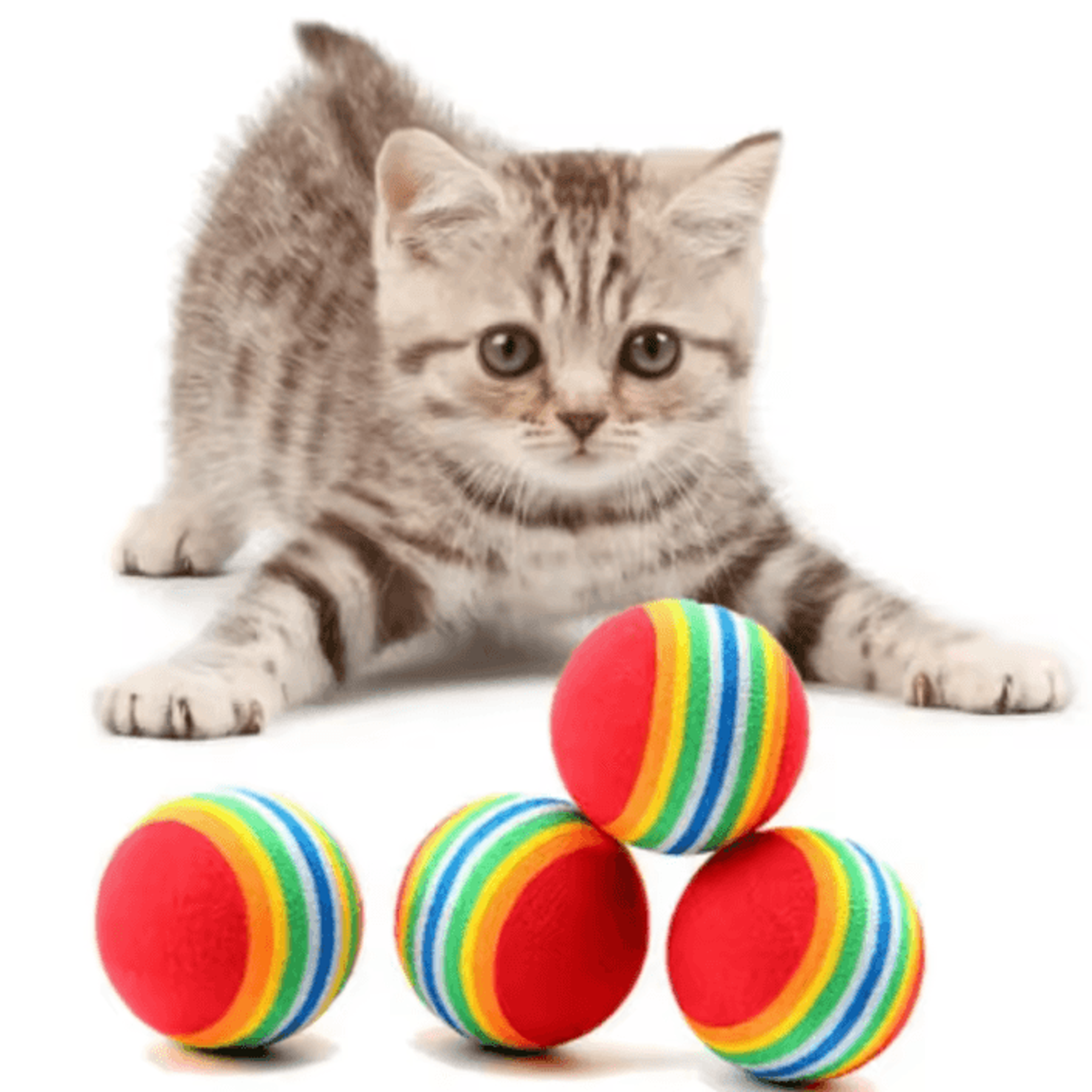Rainbow EVA Rattle Ball Toy  Interactive Chew  Play Ball For Cats  Dogs 1