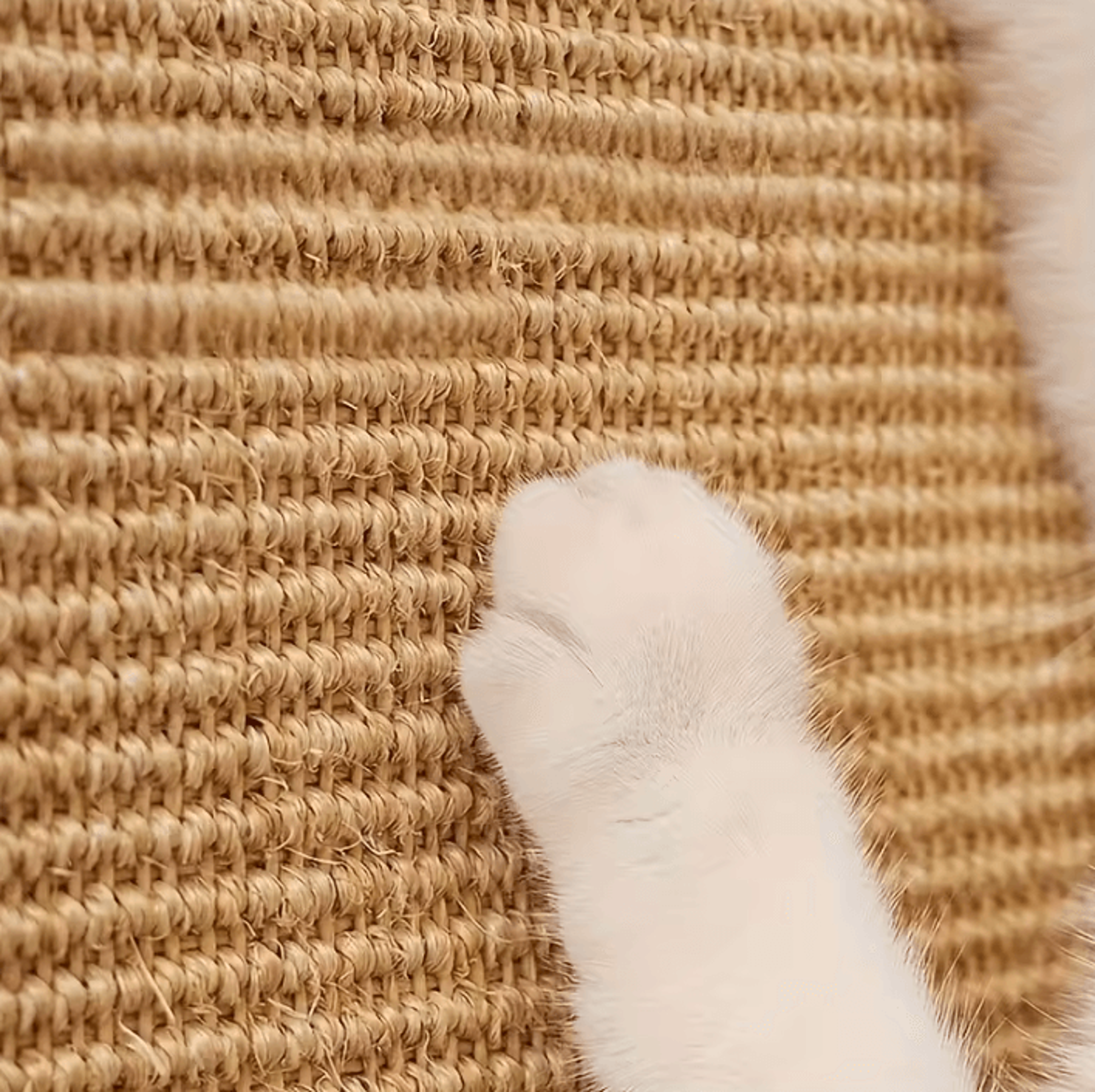 Sturdy Sisal Cat Scratching Post  Natural Scratcher For Healthy Claws  Furniture Protection 4