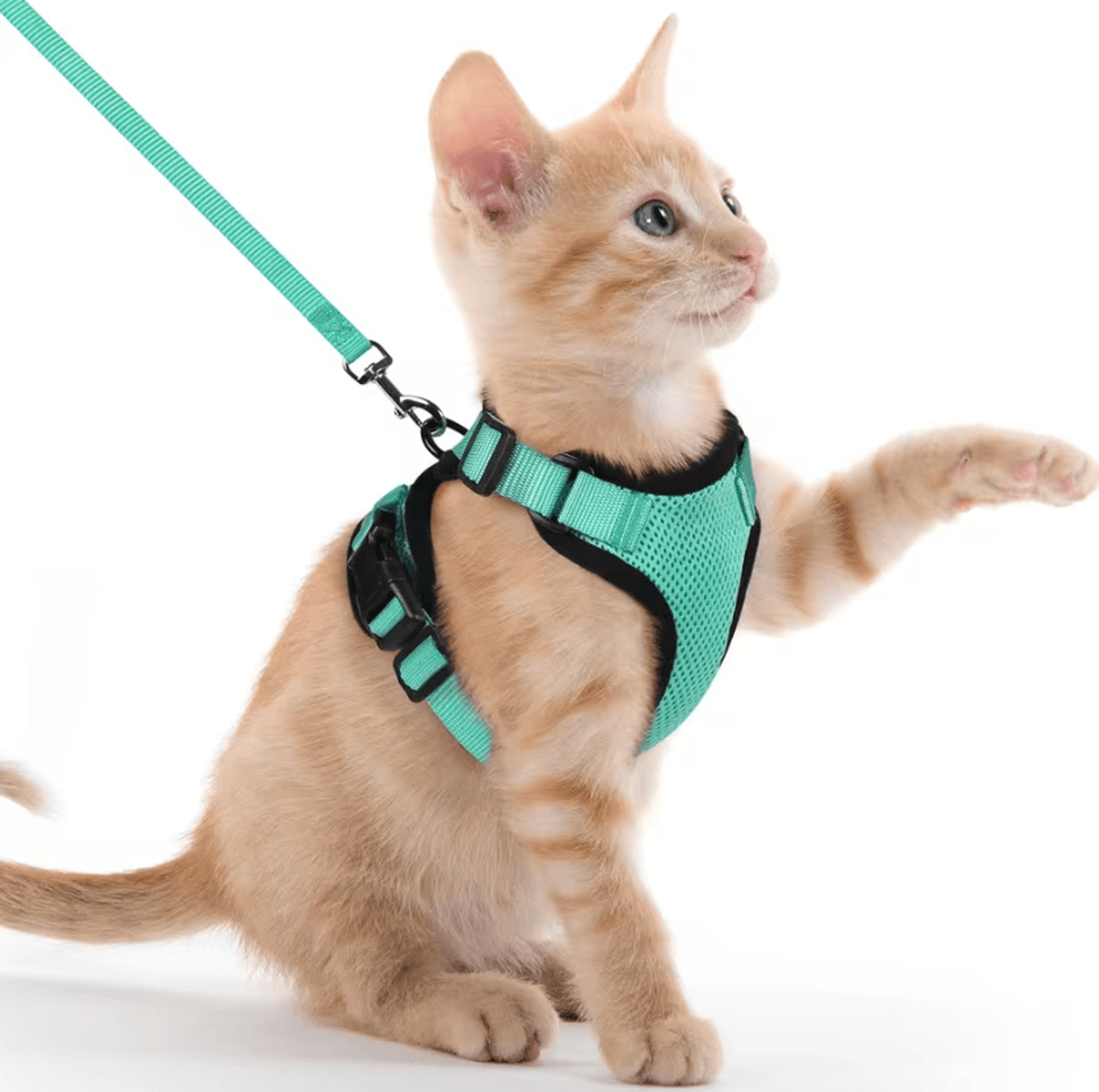 Reflective EscapeProof Cat Harness  Leash Set For Safe Outdoor Adventures 4