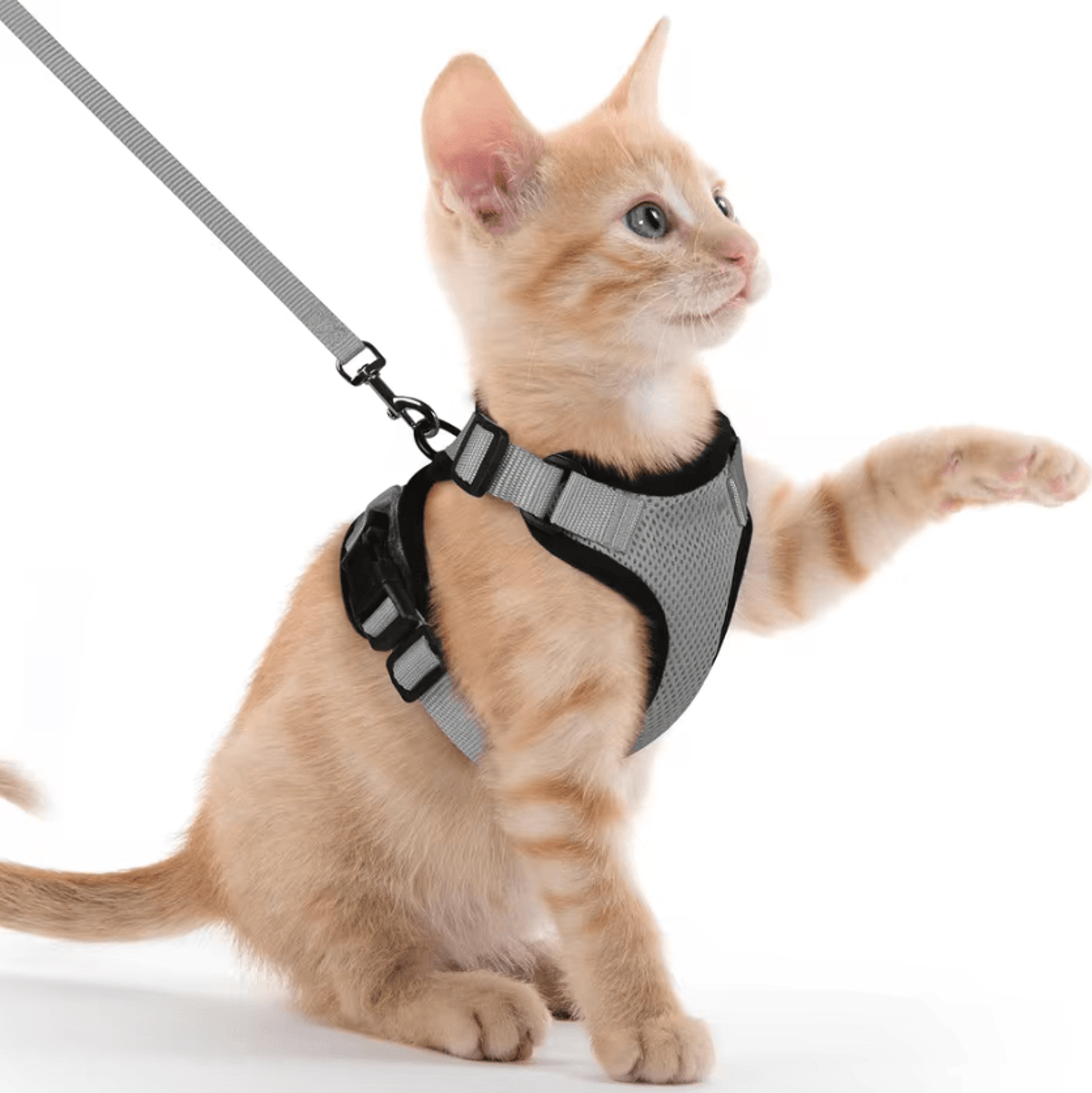 Reflective EscapeProof Cat Harness  Leash Set For Safe Outdoor Adventures 5