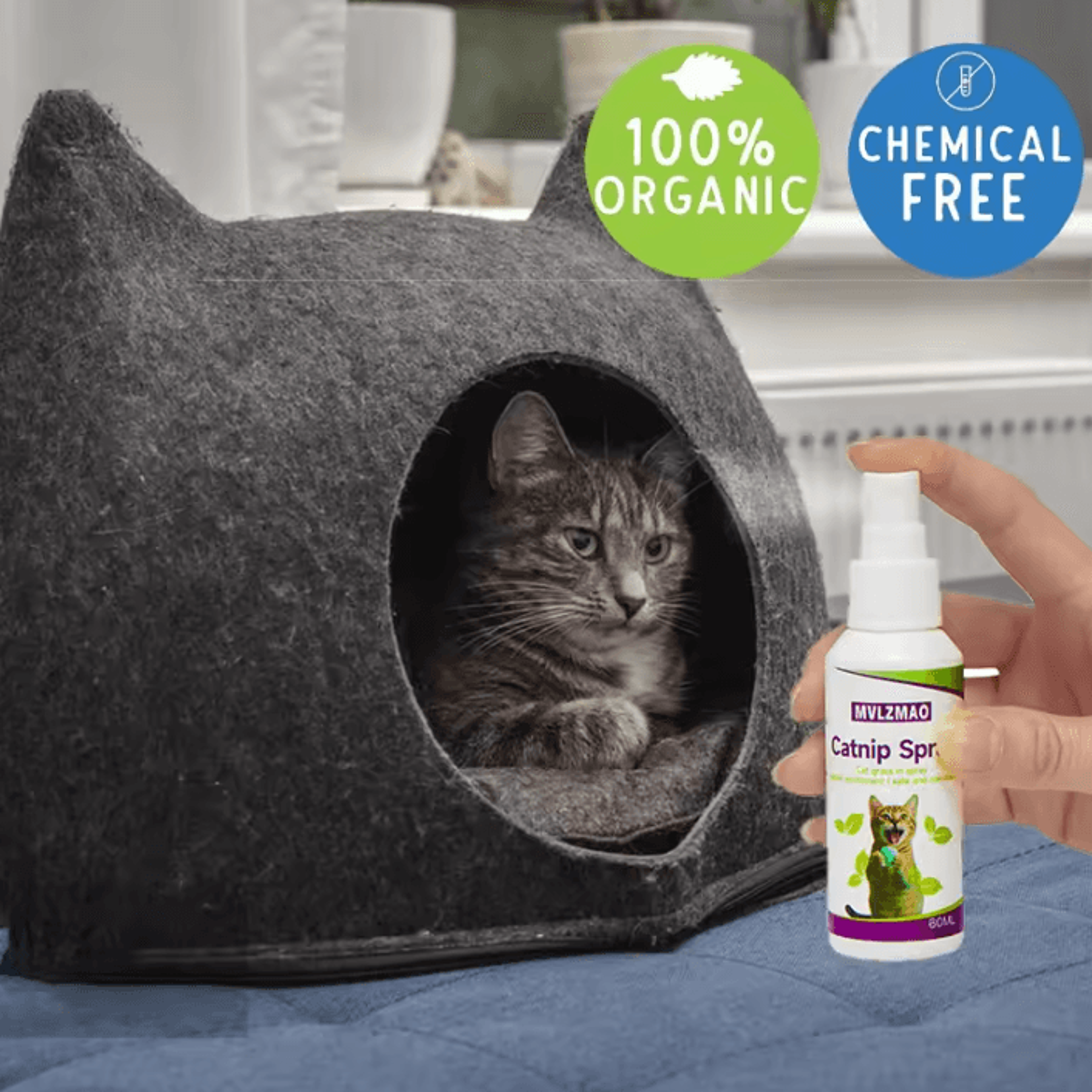 Catnip Training Spray For Cats  Kittens  60ml Scratch  Play Attraction Mist 1