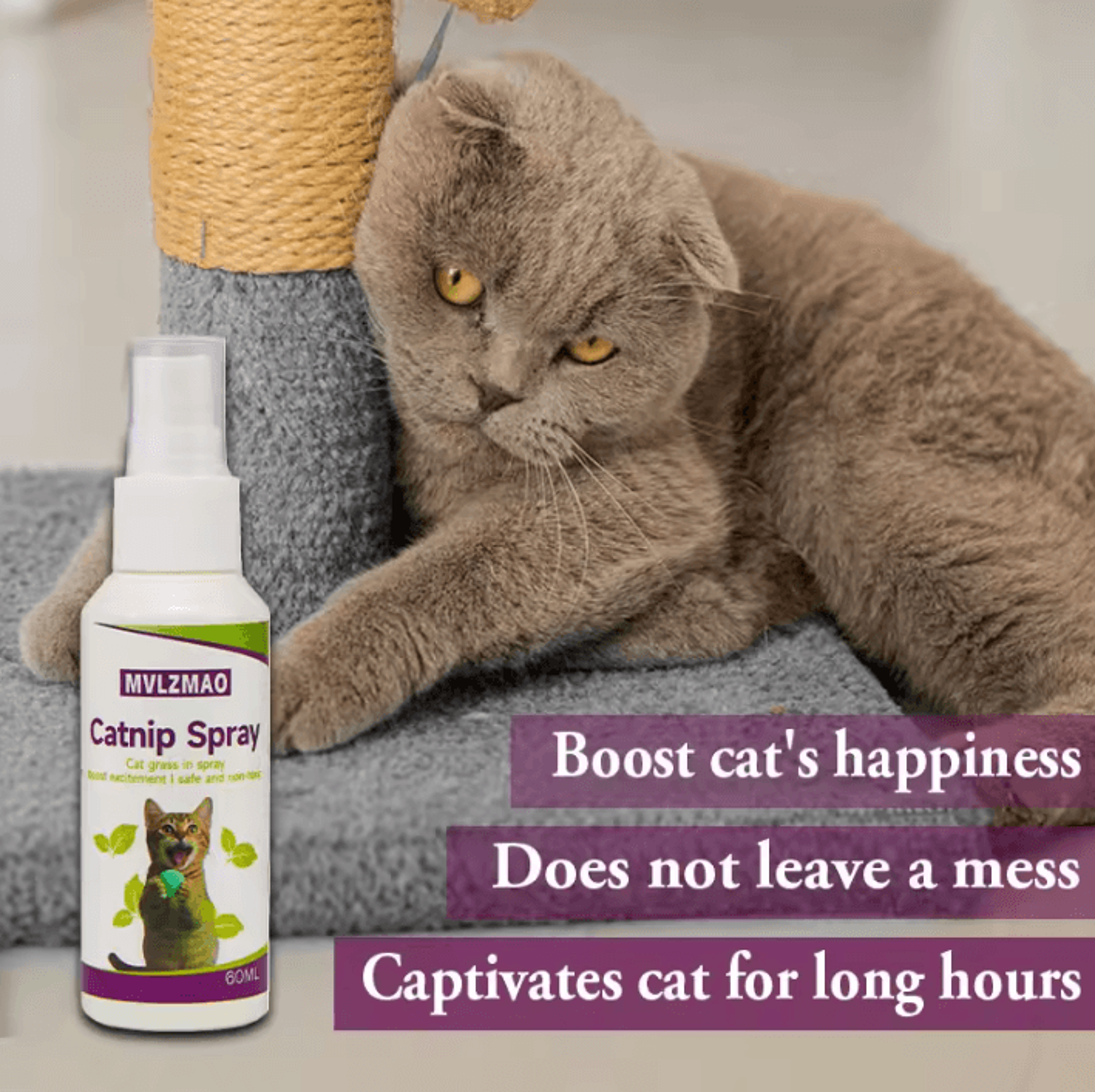 Catnip Training Spray For Cats  Kittens  60ml Scratch  Play Attraction Mist 4