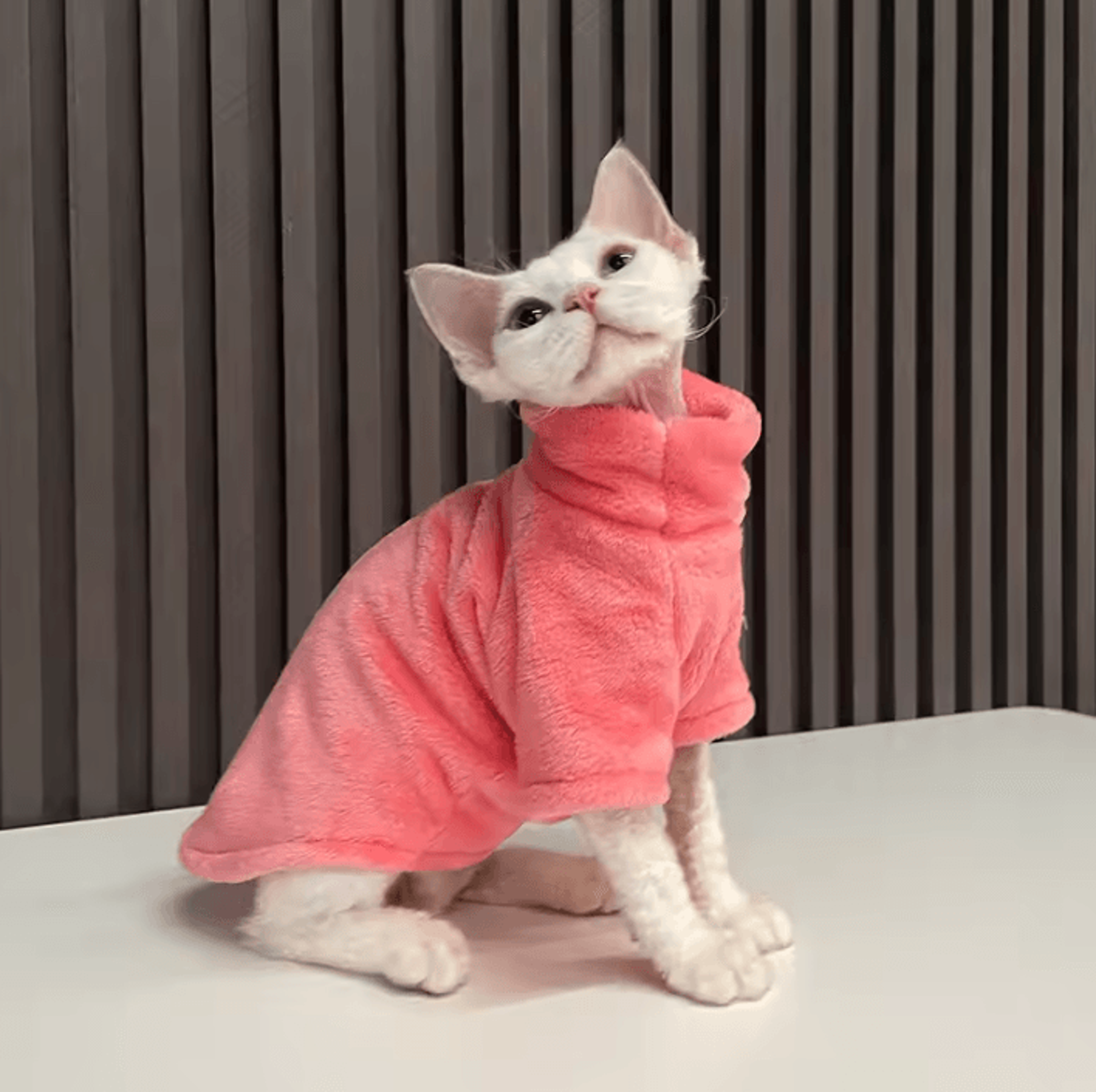 CozyPaws Turtleneck Winter Sweater For Hairless Cats  Small Dogs 6