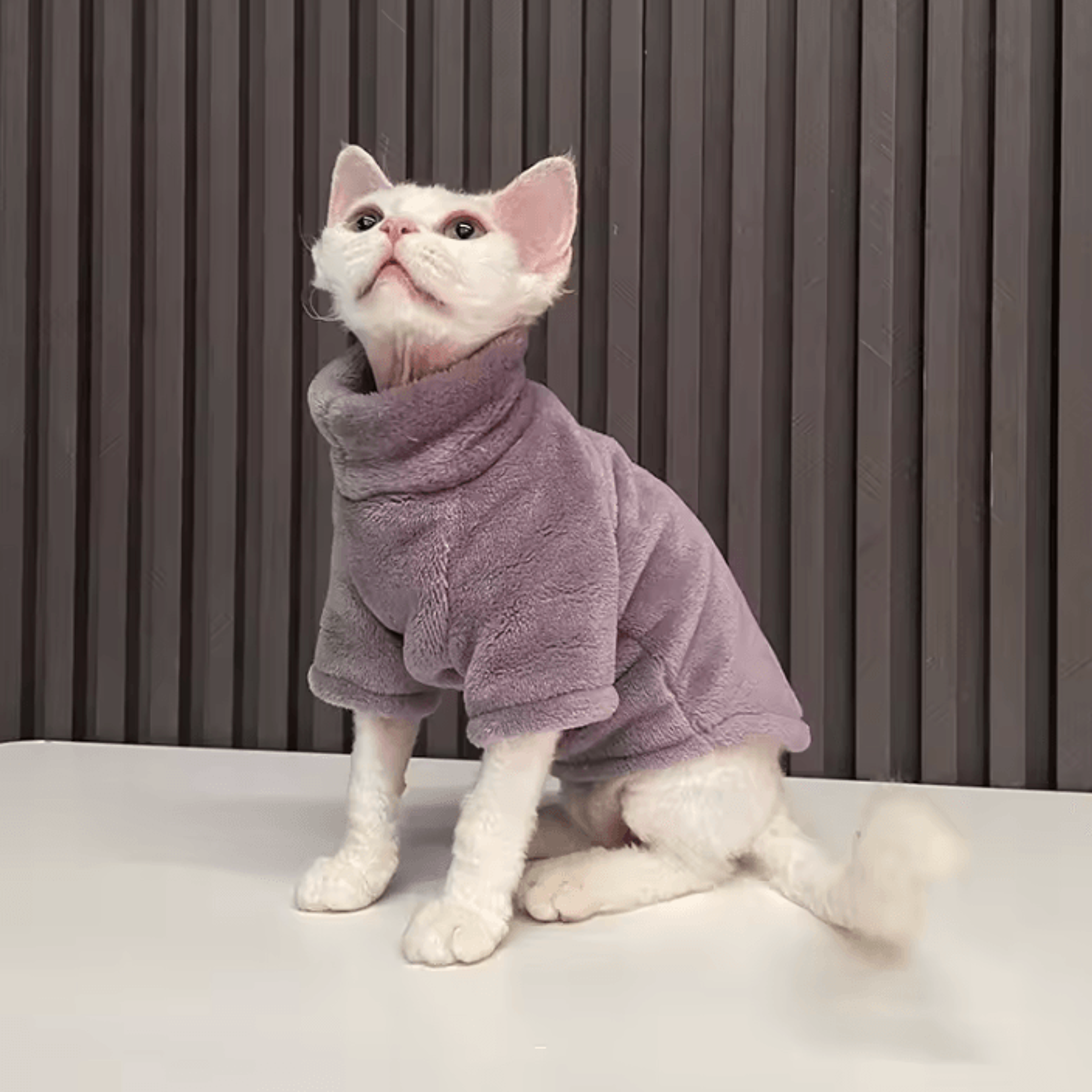 CozyPaws Turtleneck Winter Sweater For Hairless Cats  Small Dogs 7