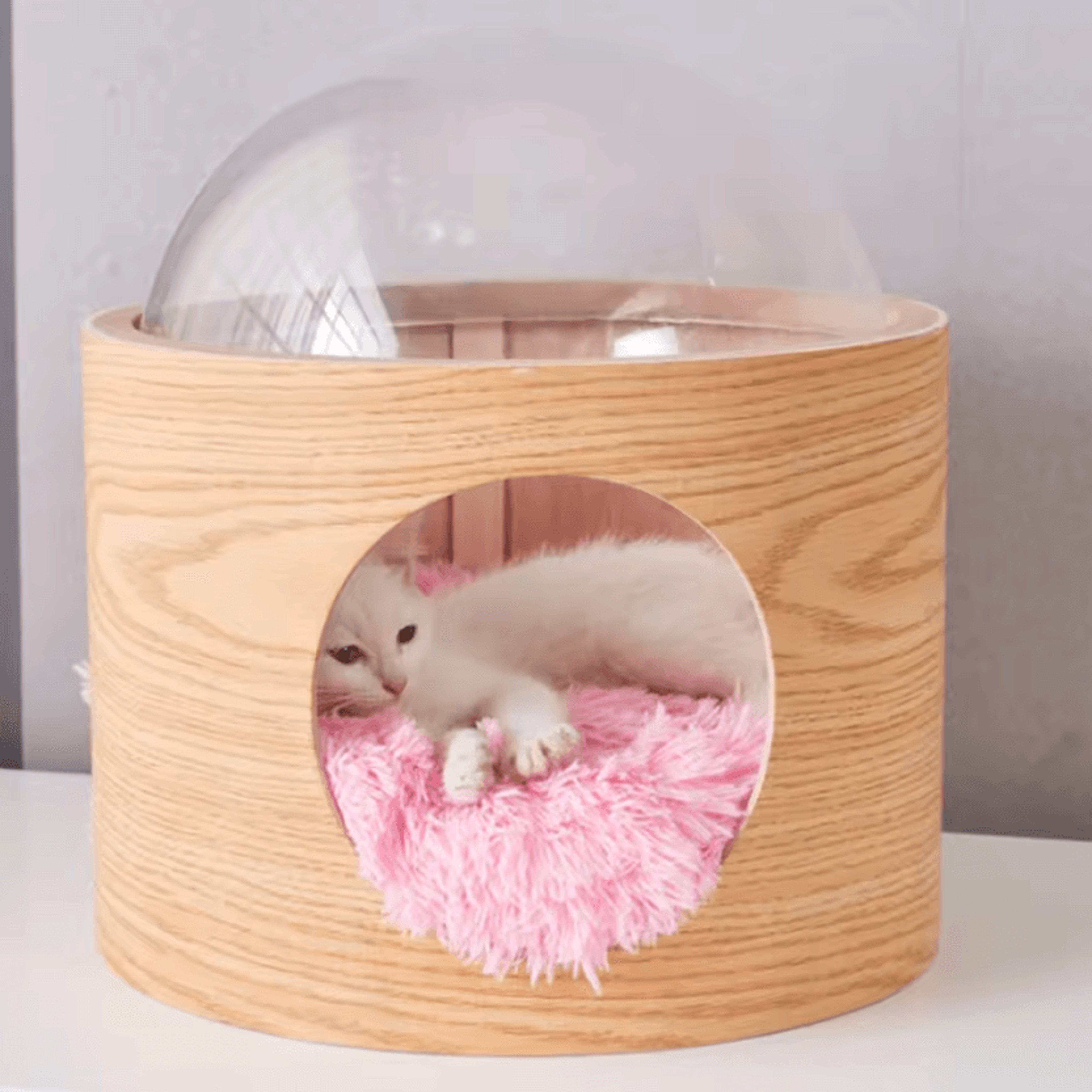 SpacePod Clear Capsule Window Cat Bed Cover 2