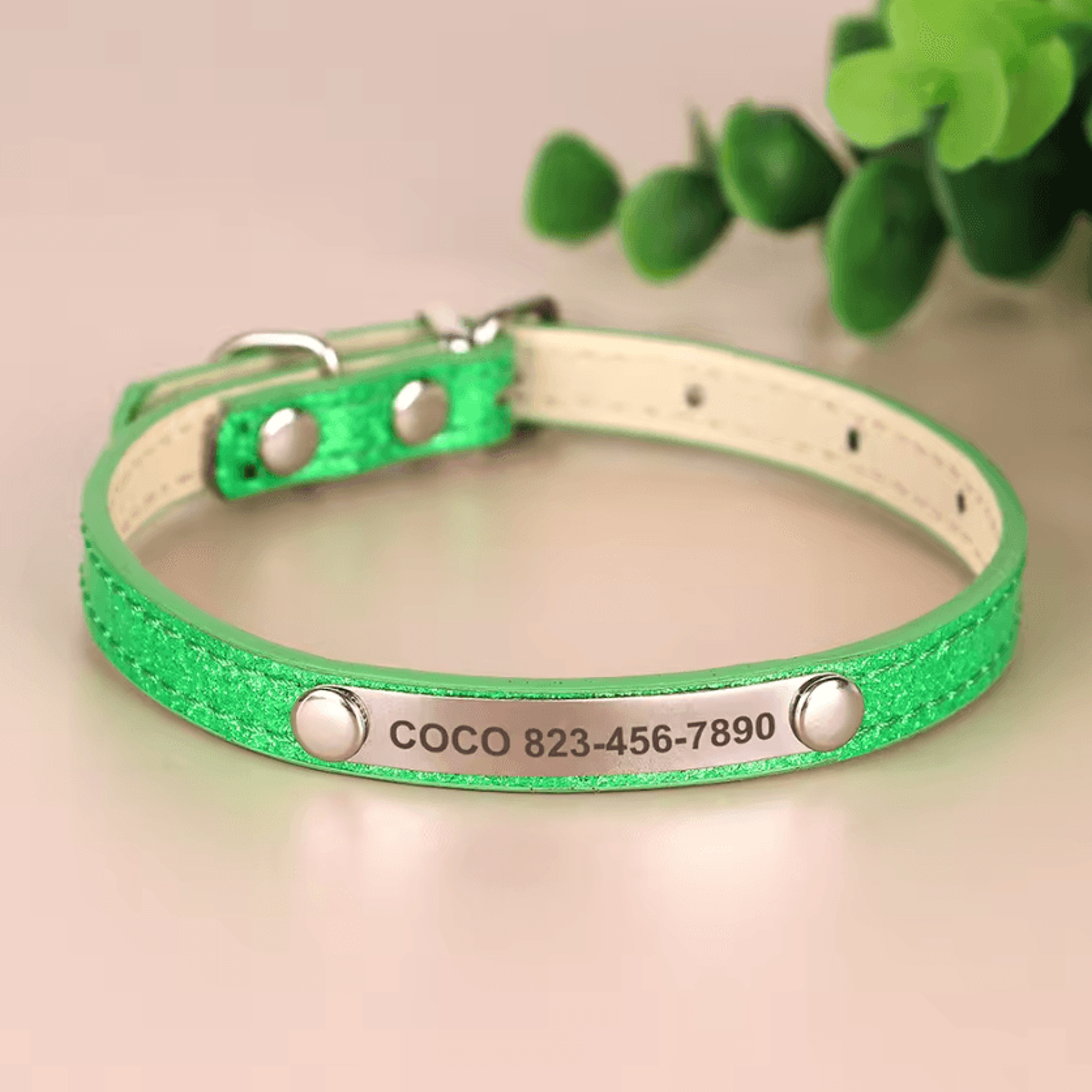 SparkleTag Personalized Cat ID Collar With Engraved Name Tag 5