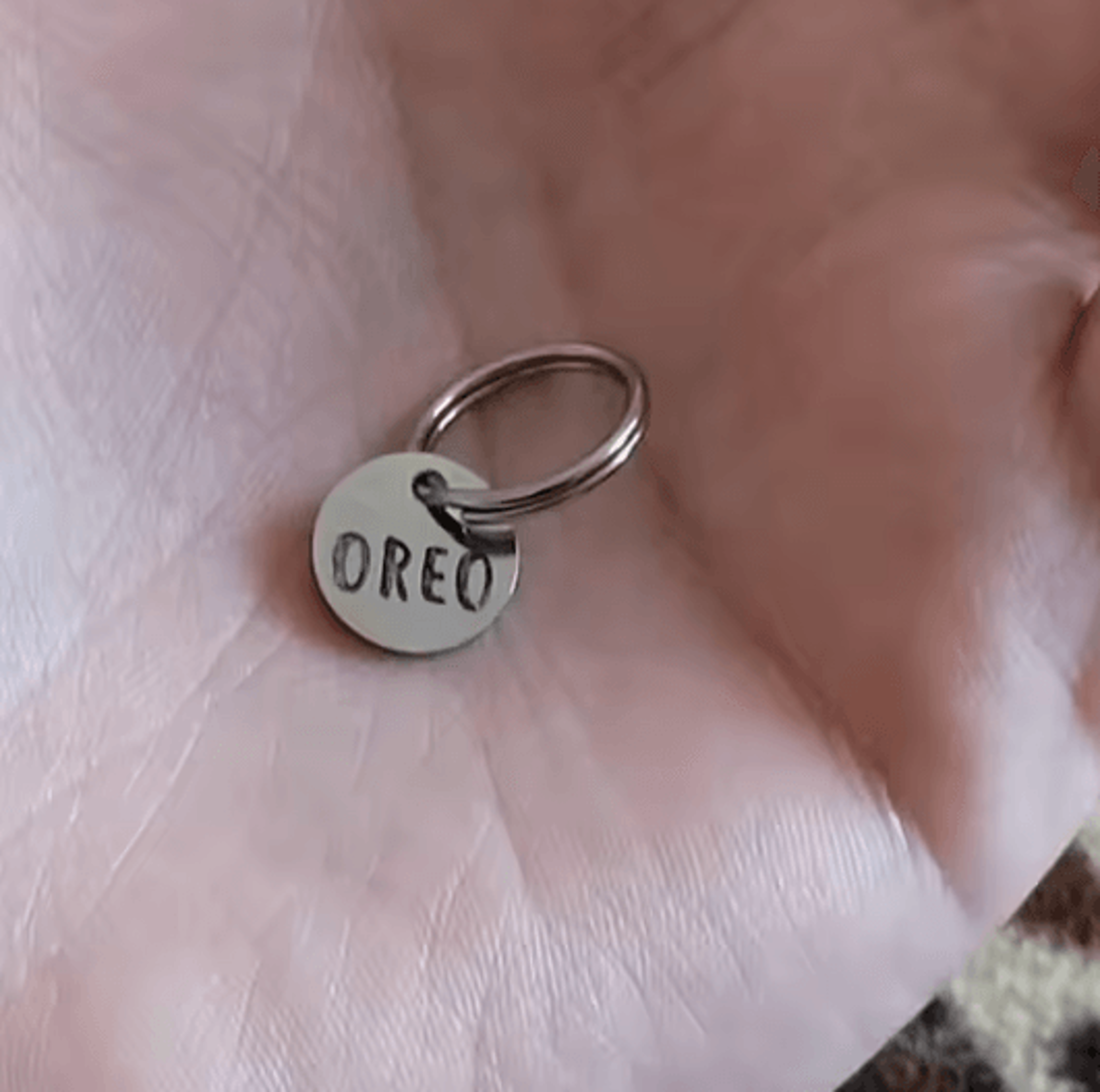 TinyGuard Personalized Mini Pet ID Tag 5