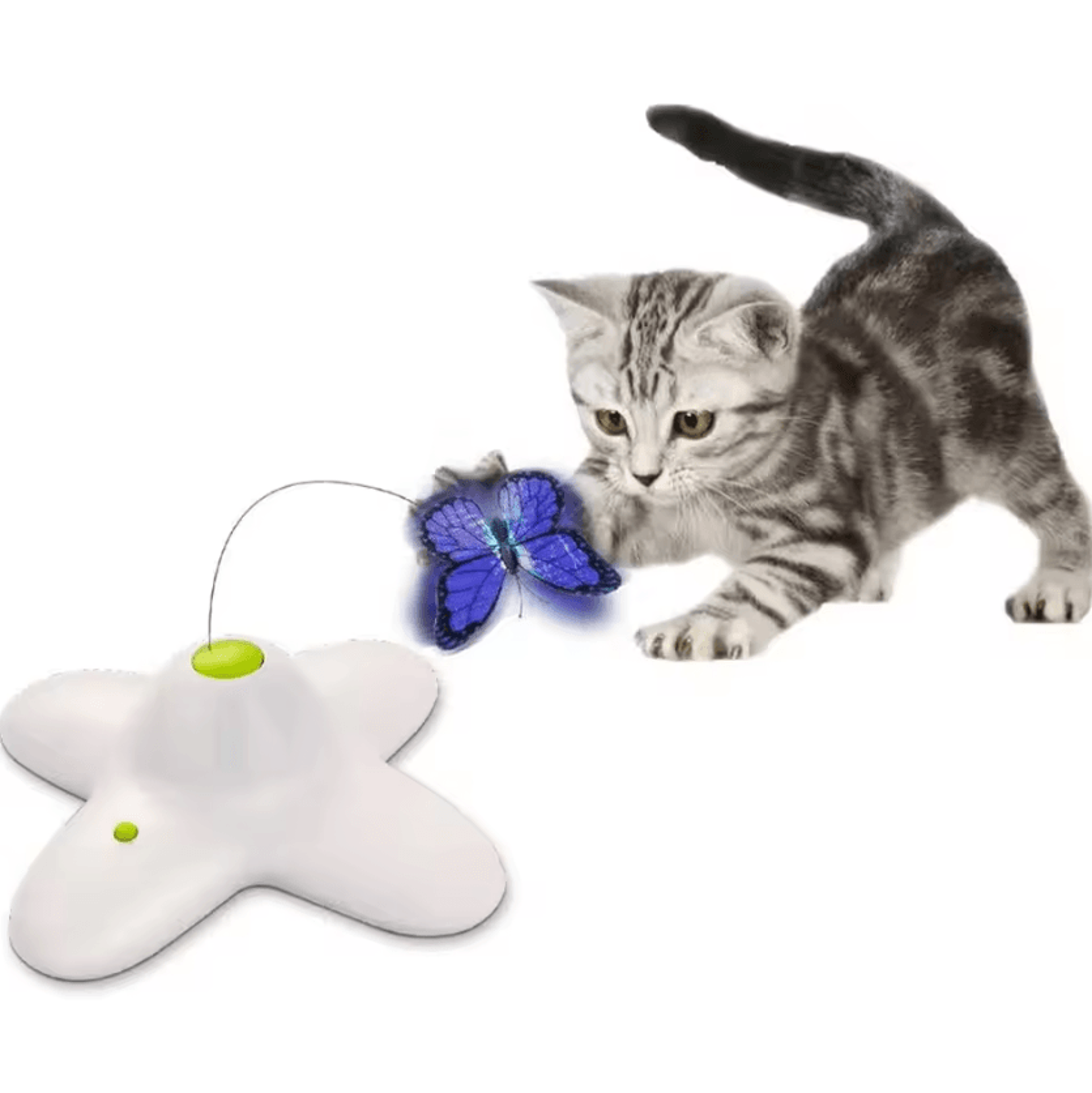 FlutterWing 360 Interactive Butterfly Cat Toy 0