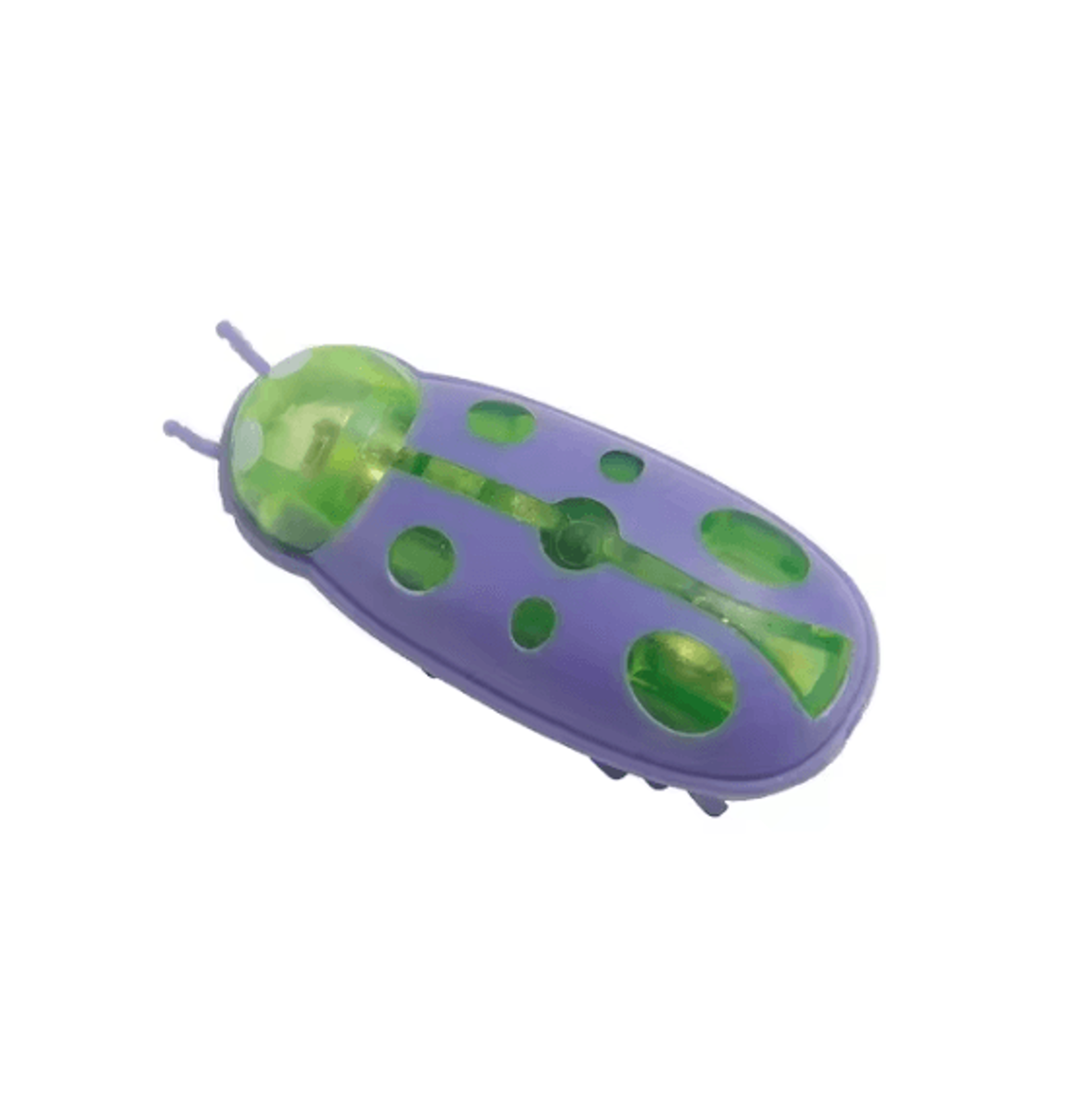 Interactive Escape Bug Cat Toy  Vibrating Robot Insect For Indoor Cats 11
