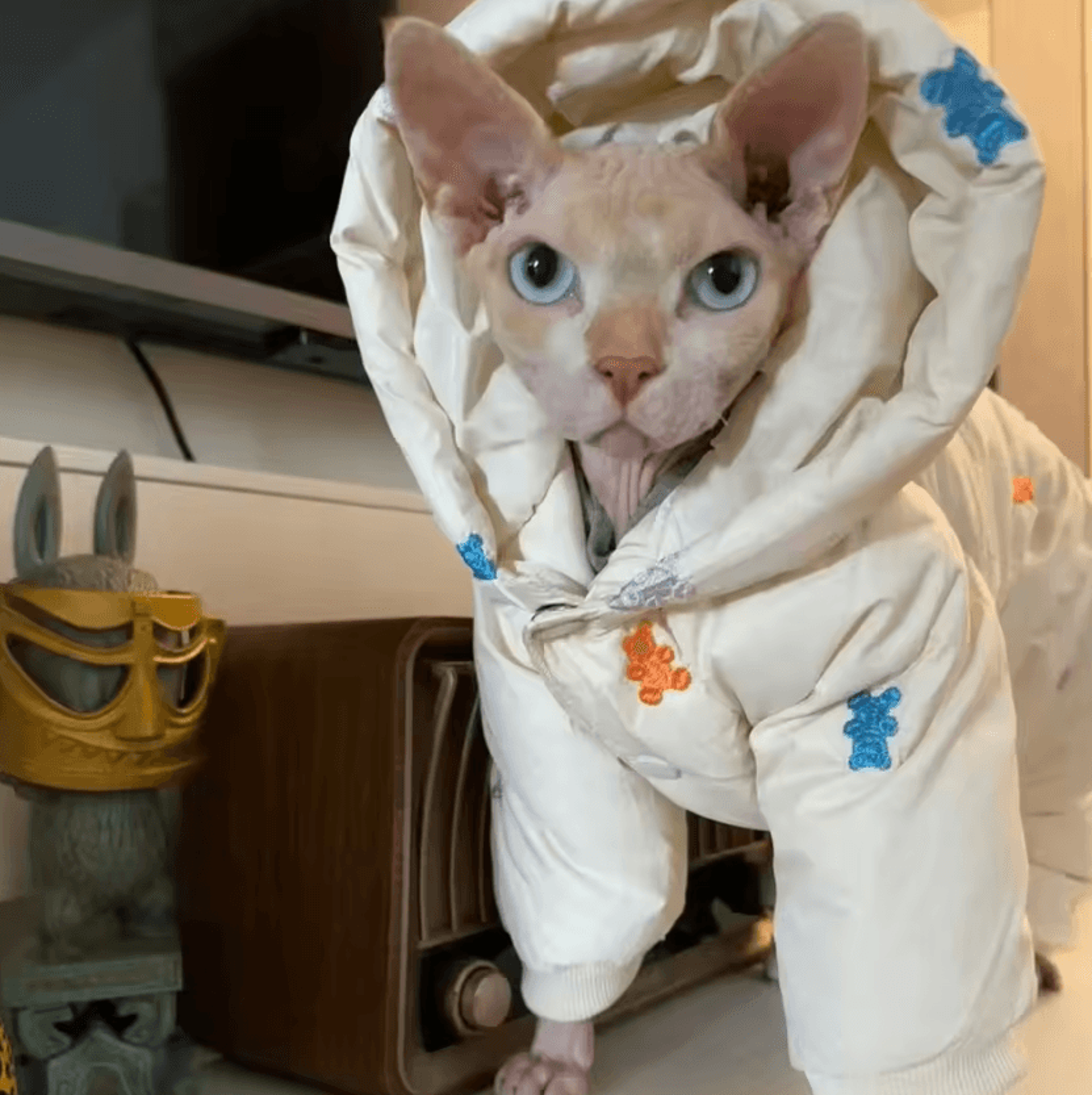 SnowPaw Winter Jacket For Sphynx  Devon Rex Cats 1