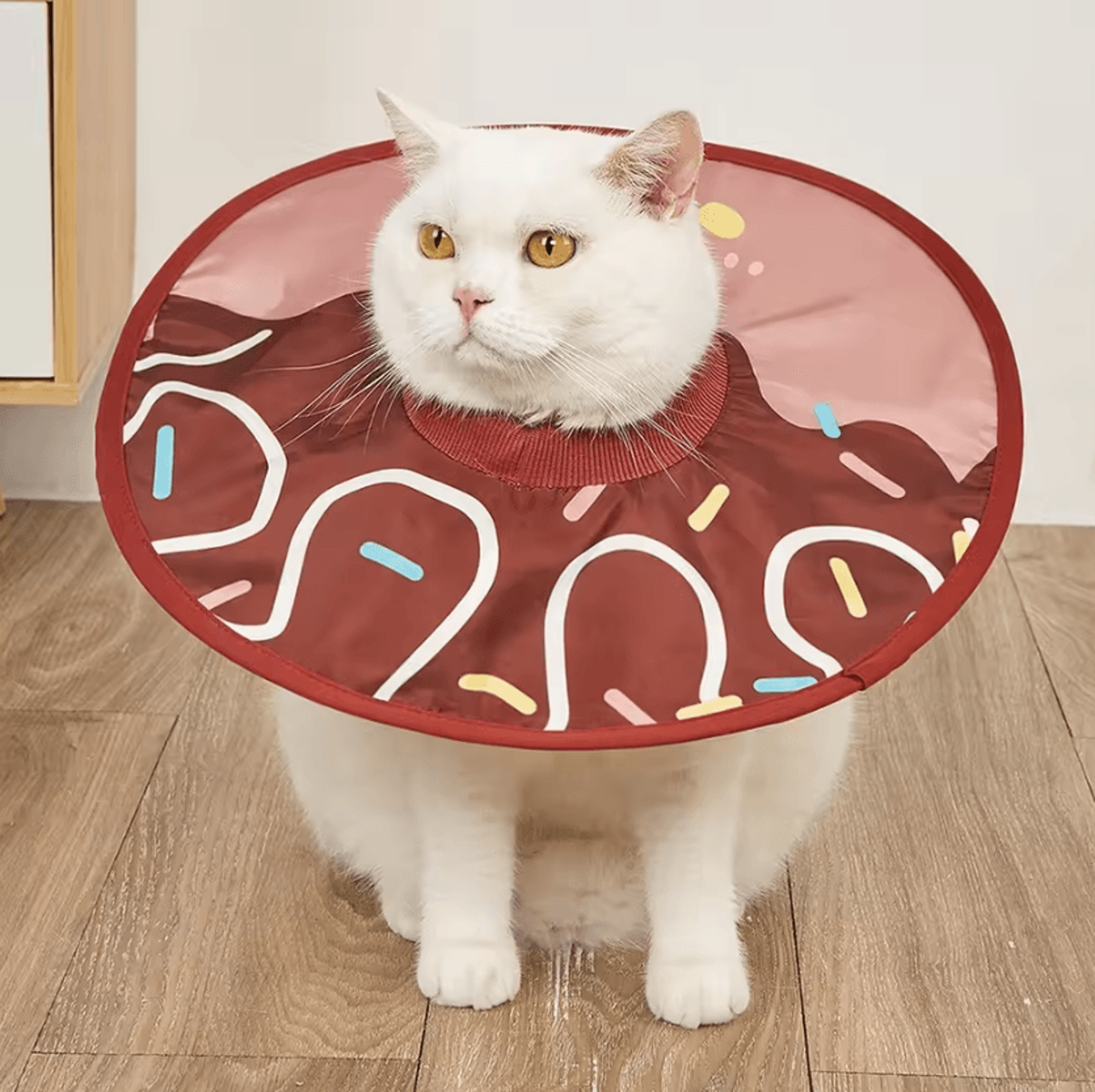 Sunflower Recovery Collar For Cats  Small Pets 1