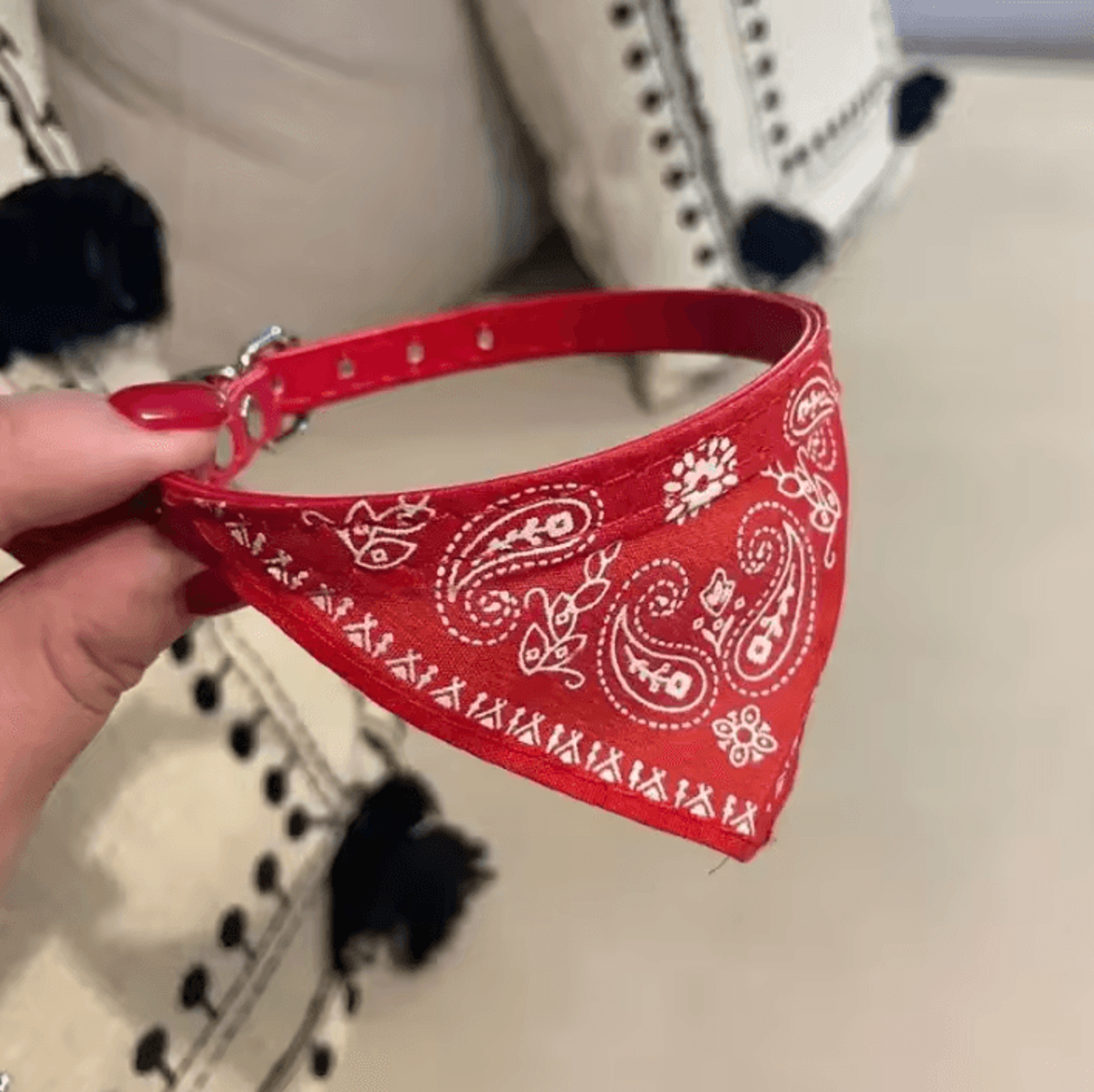 CharmingPaws Adjustable Pet Bandana Collar 3