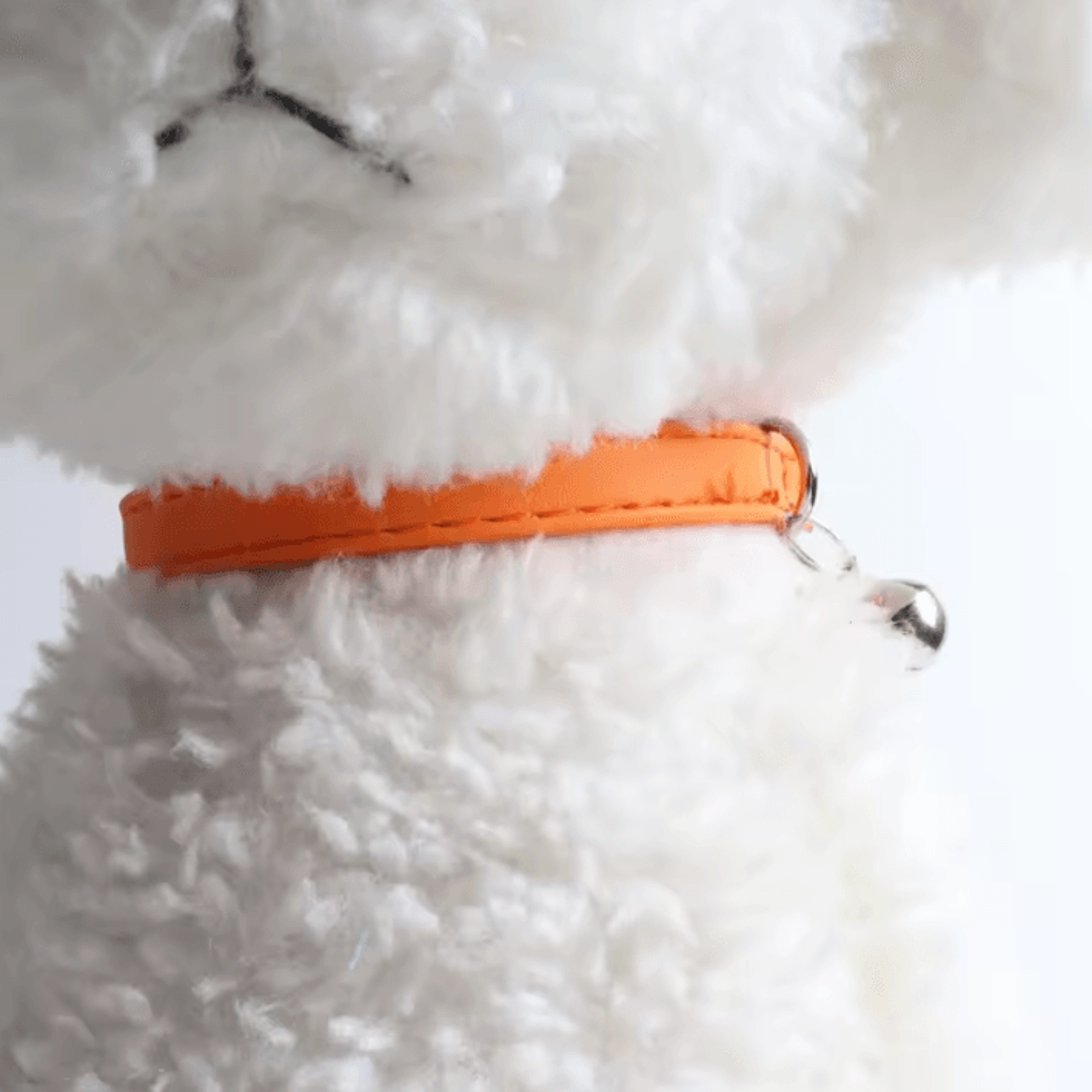 Macaron Bell Adjustable Cat Collar For Cats  Small Pets 1