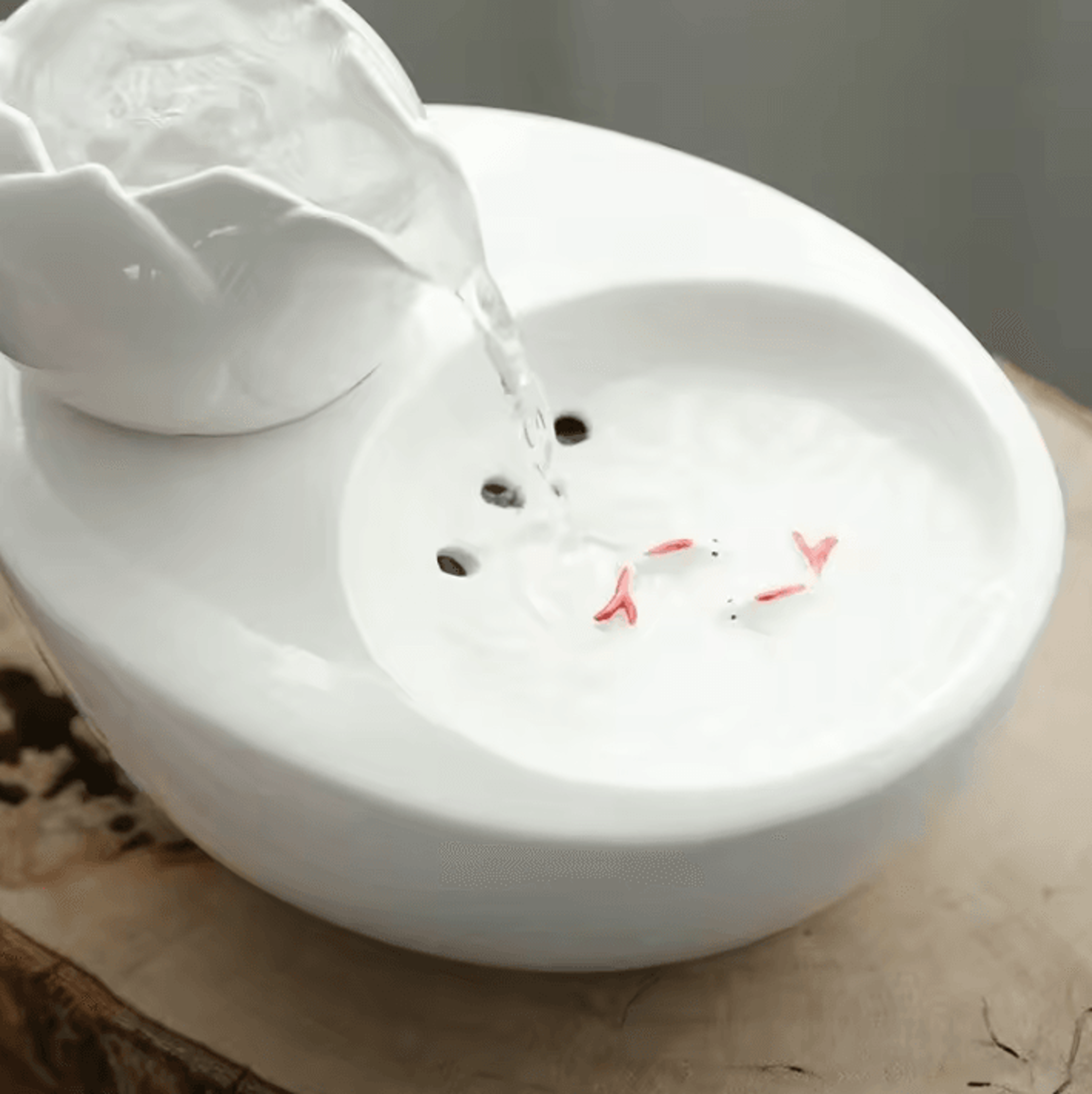 AquaCeramic USB Pet Water Fountain 2