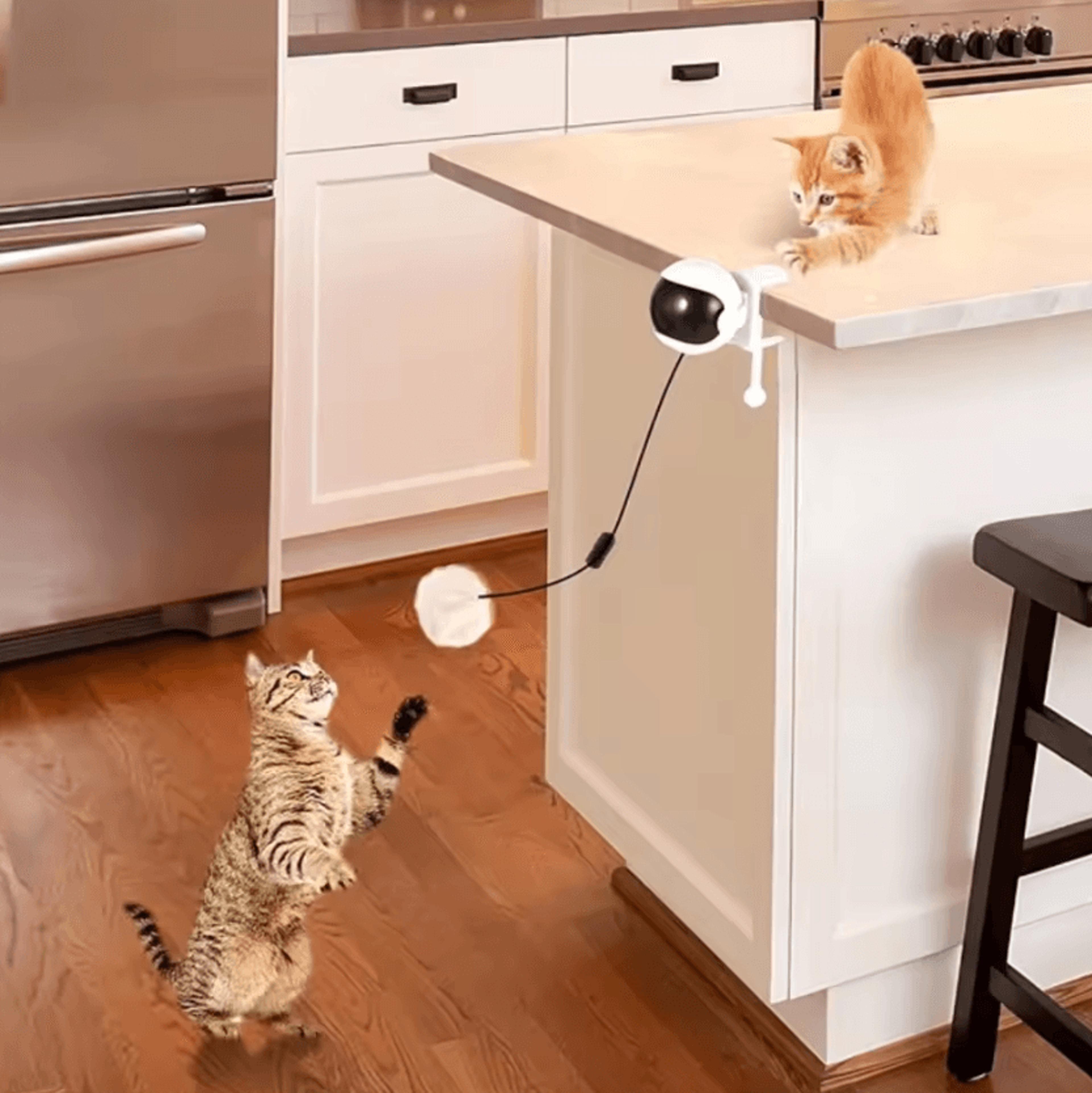 PurrBounce Automatic Interactive Cat Teasing Ball 3